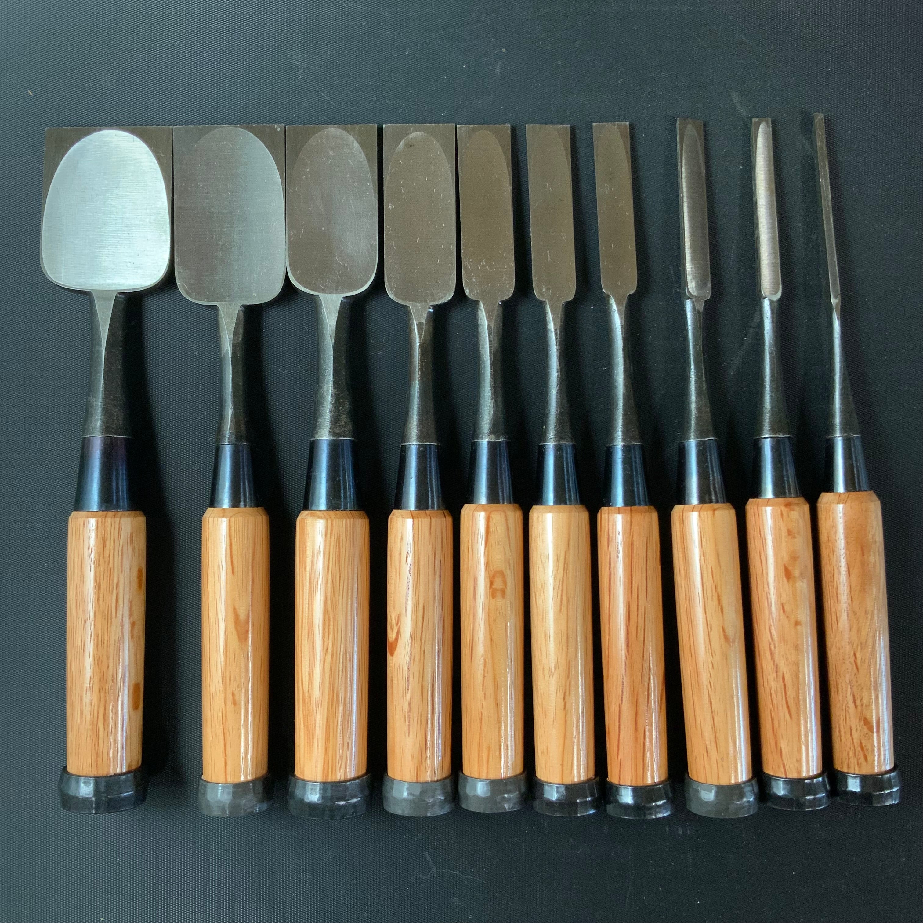 Tsukishiro Bench chisels set 10 Piece 月城 追入組鑿 白樫柄 Oirenomi