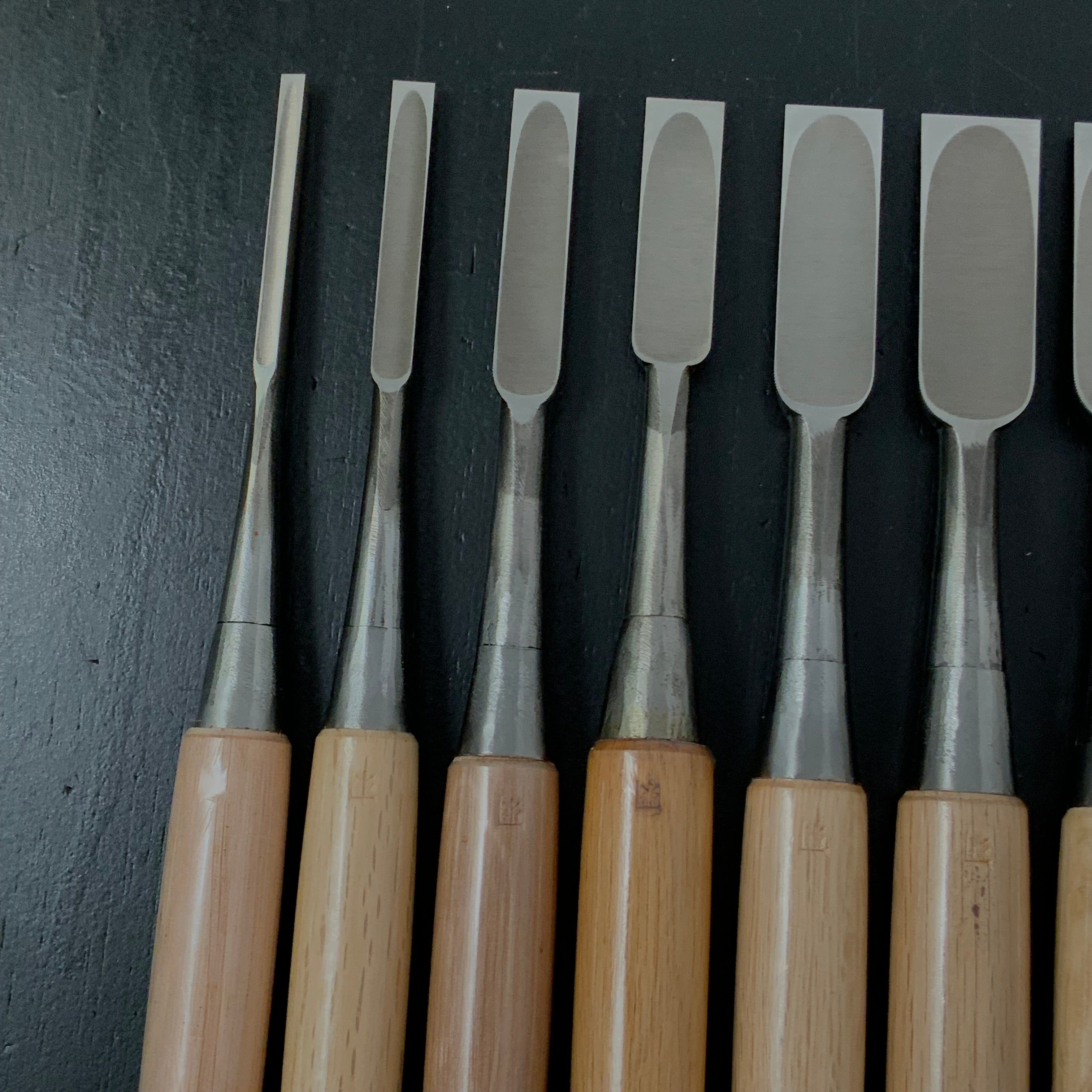 Old Stock Tasai Special Bench chisels (Oirenomi) with blue steel 掘出し物 田斎作 磨き仕上 追入鑿