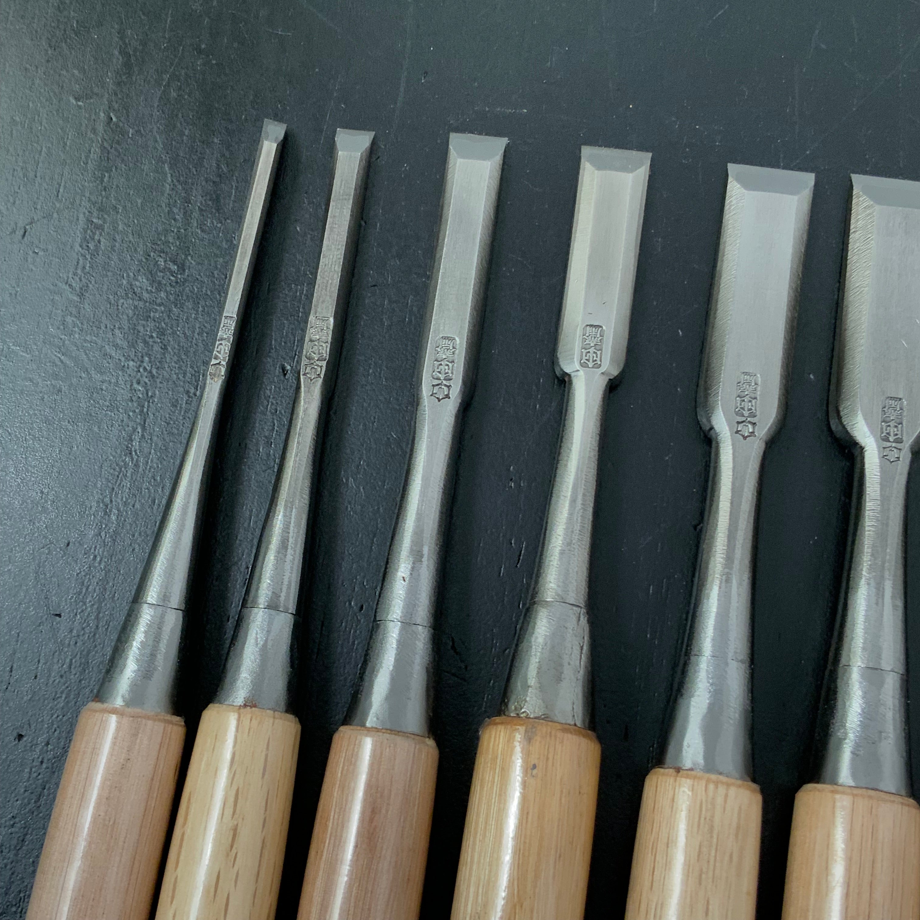 Old Stock Tasai Special Bench chisels (Oirenomi) with blue steel 掘出し物 田斎作 磨き仕上 追入鑿