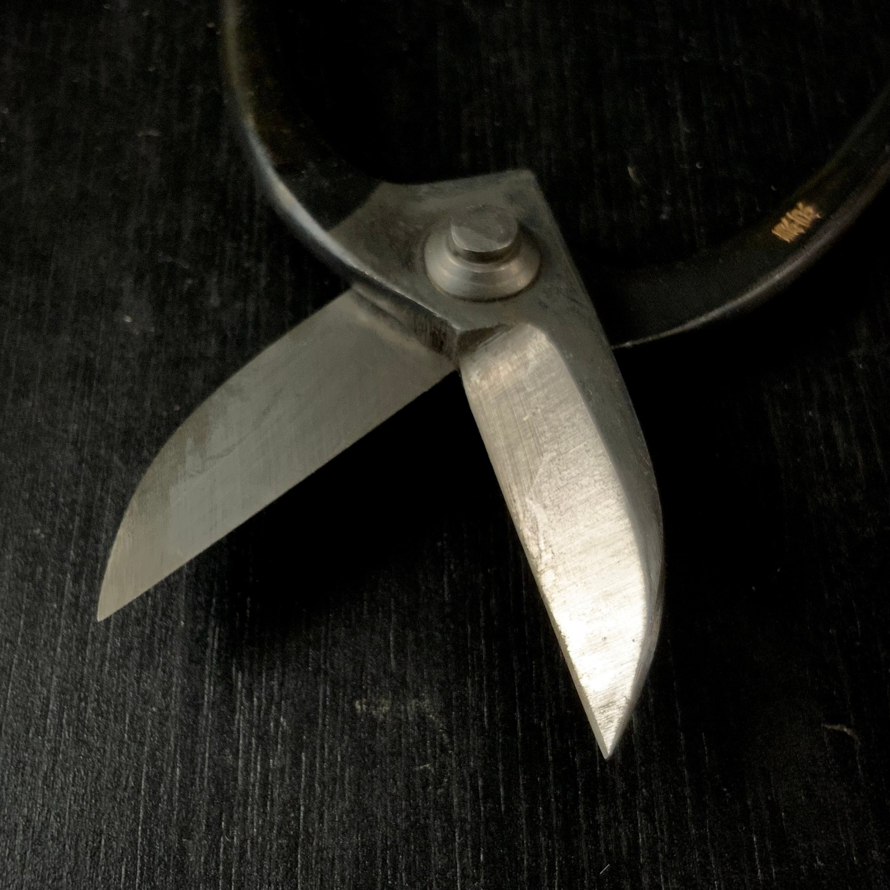 Old stock Teruhisa Flower shears / 掘り出し物 輝久 花鋏 150mm
