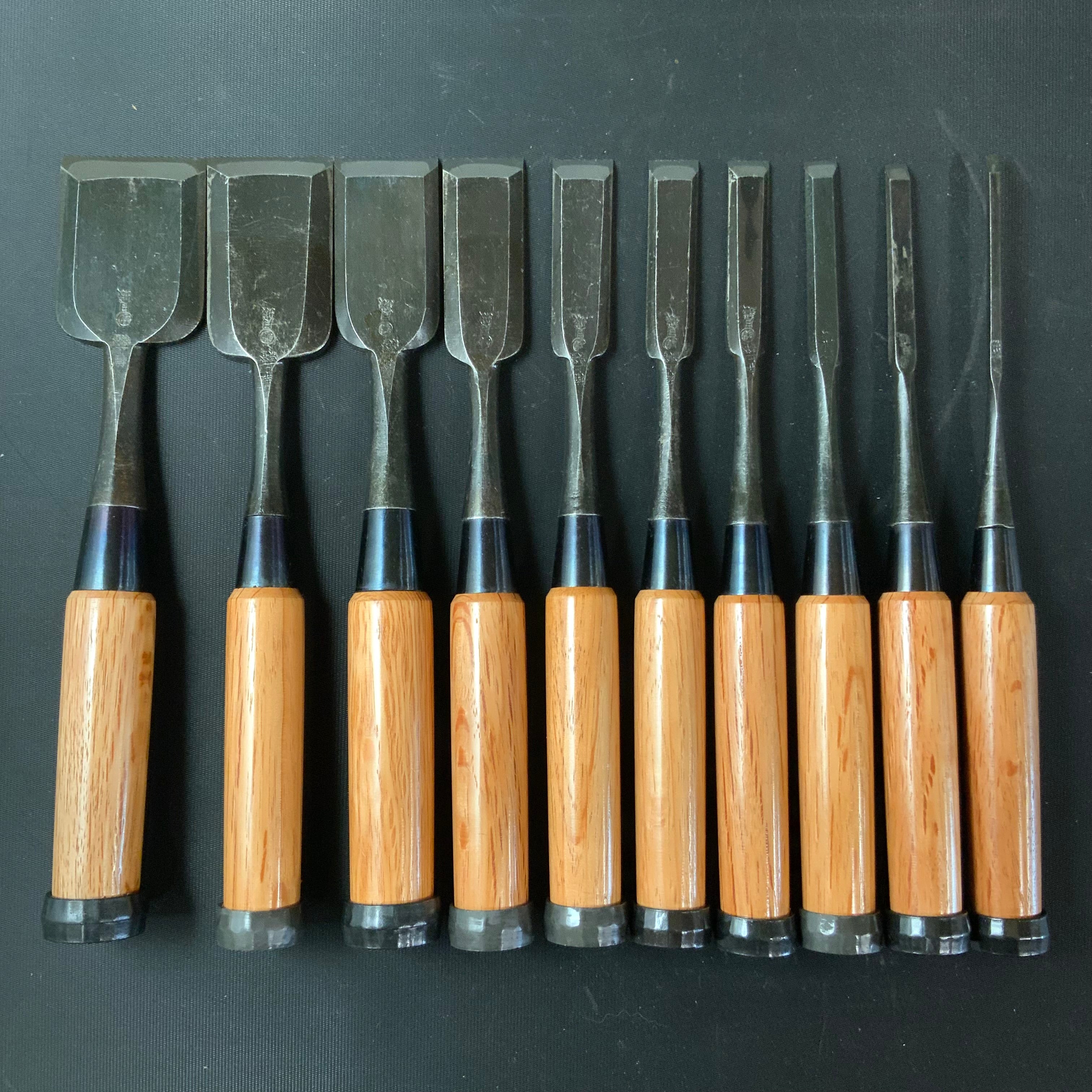Tsukishiro Bench chisels set 10 Piece 月城 追入組鑿 白樫柄 Oirenomi