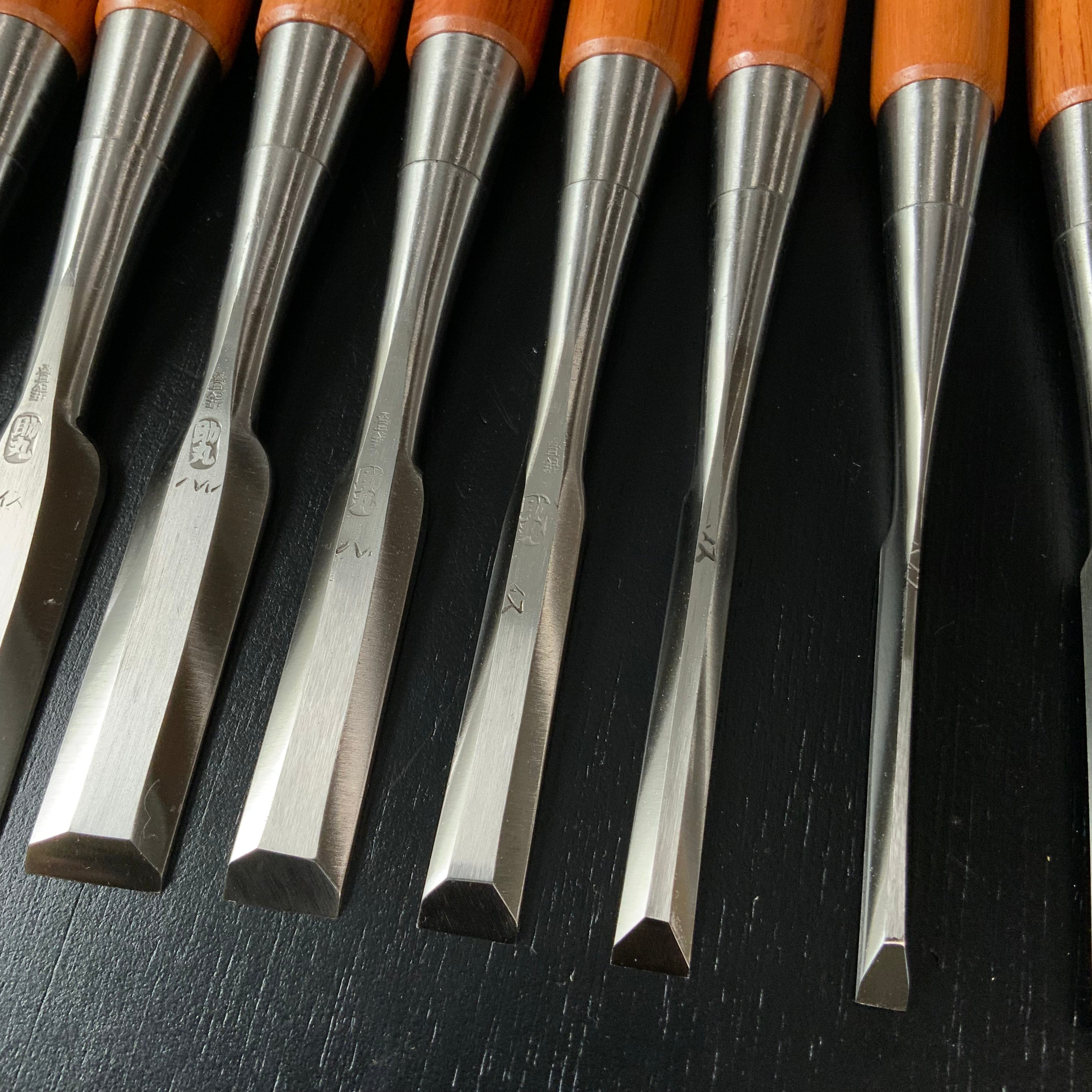 Sukemaru 4th High-Speed Steel Bench chisels set by Usui Yoshio 四代助丸 碓氷淑郎 ハイス鋼追入組鑿 三つ裏 15本組 Oirenomi