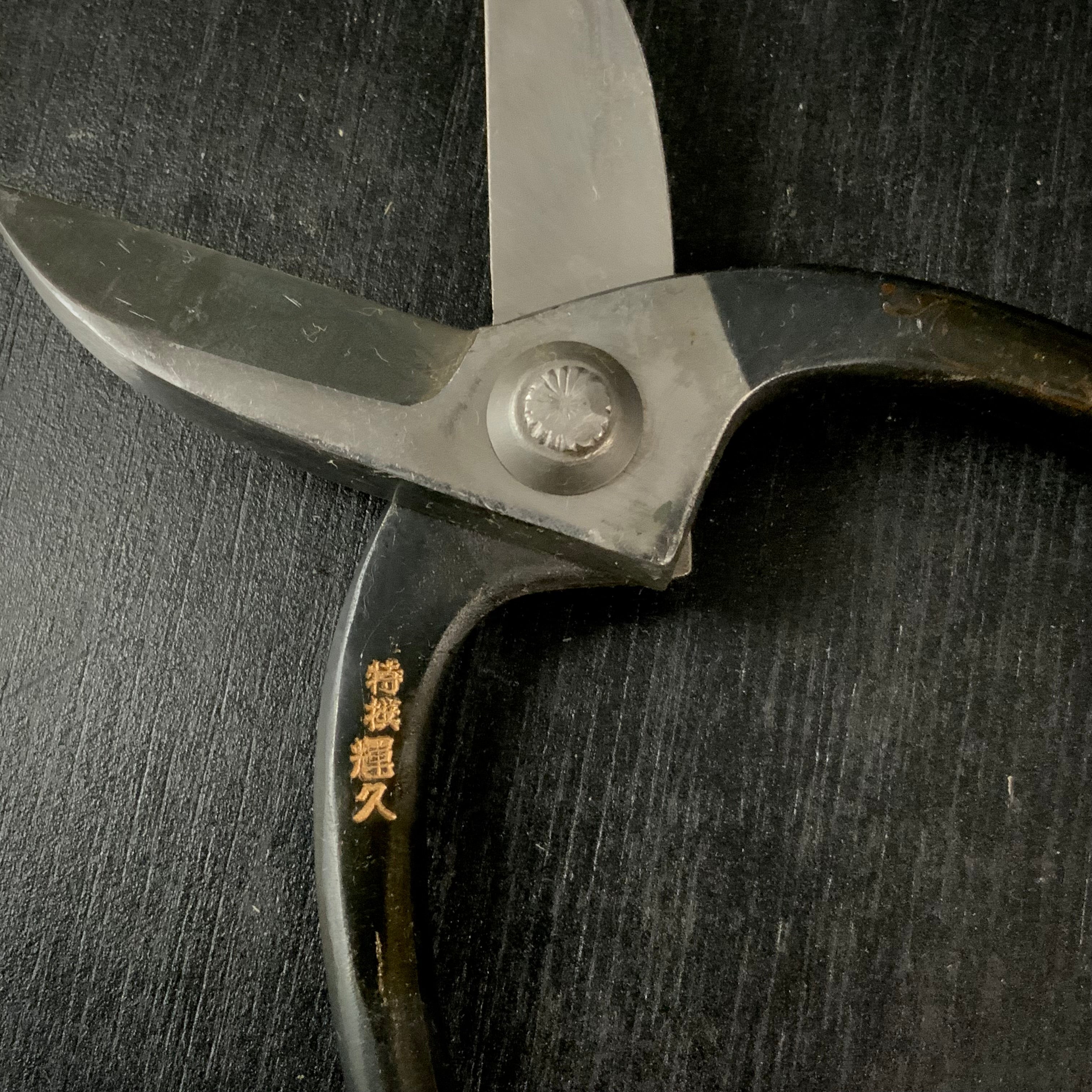 Old stock Teruhisa Flower shears / 掘り出し物 輝久 花鋏 150mm
