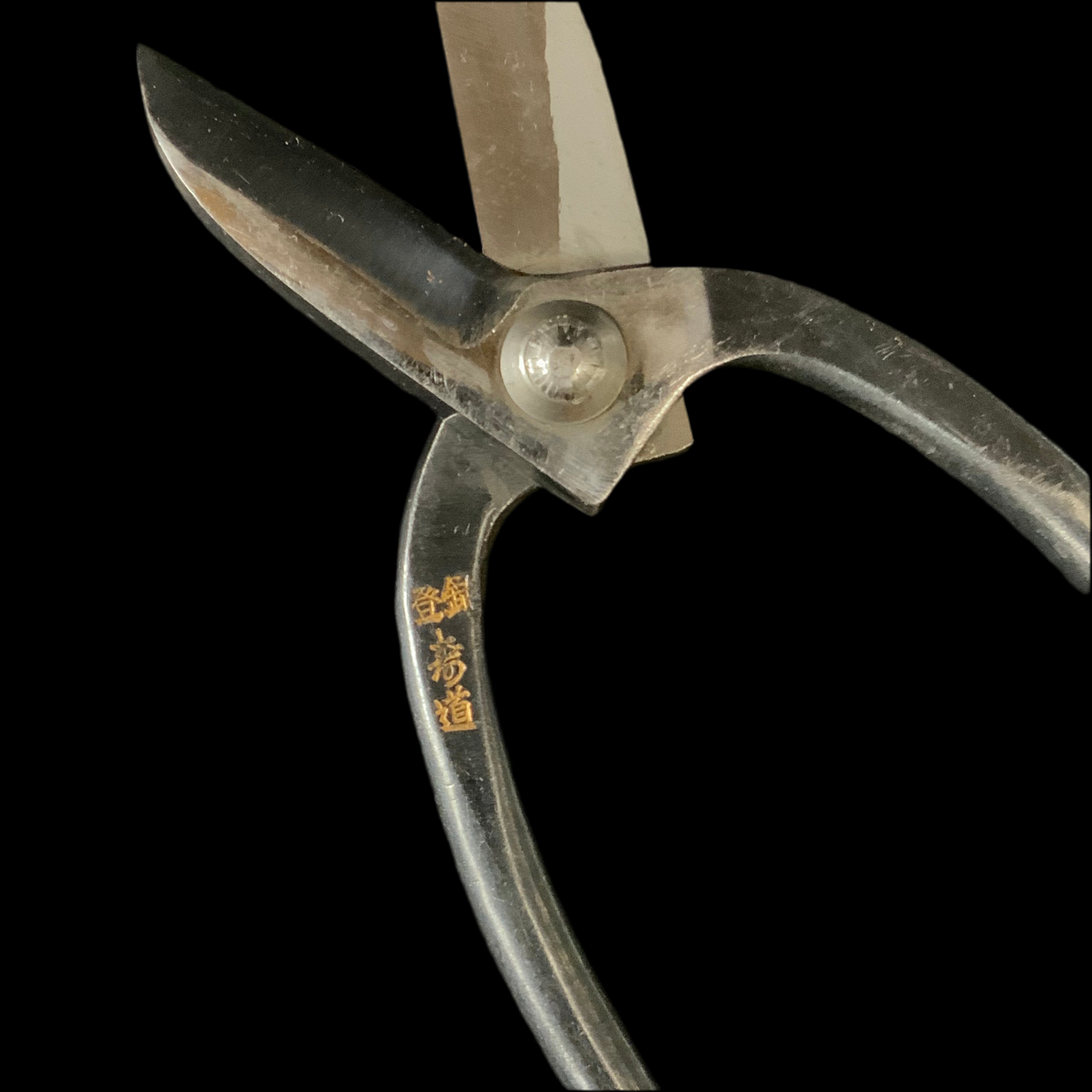 Old stock Judo Flower shears “Ikenobou“ 掘り出し物 寿道 池坊鋏 165mm