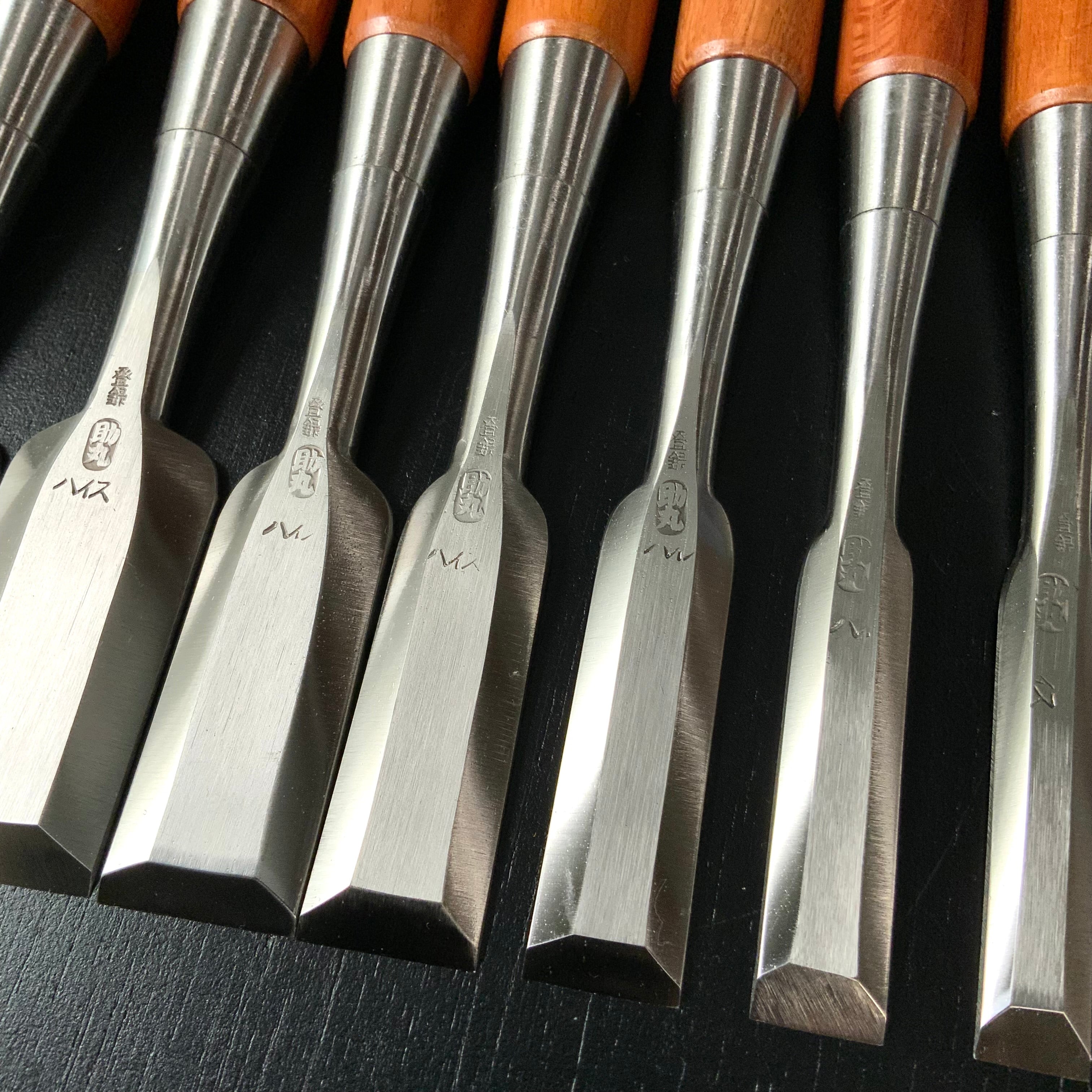 Sukemaru 4th High-Speed Steel Bench chisels set by Usui Yoshio 四代助丸 碓氷淑郎 ハイス鋼追入組鑿 三つ裏 15本組 Oirenomi