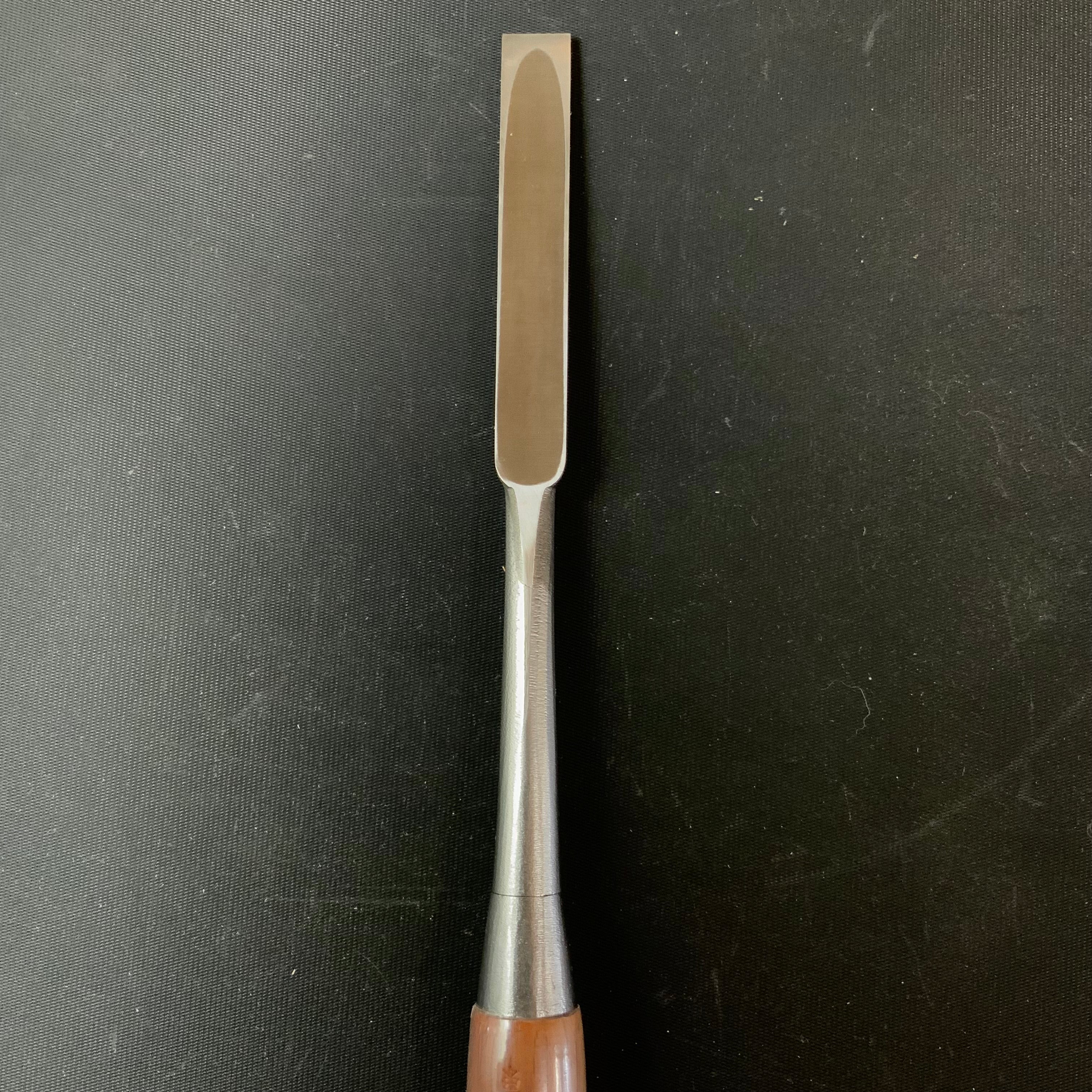 Tasai Paring chisels (Usunomi) with blue steel 田斎作 磨き仕上 薄鑿 12,15mm