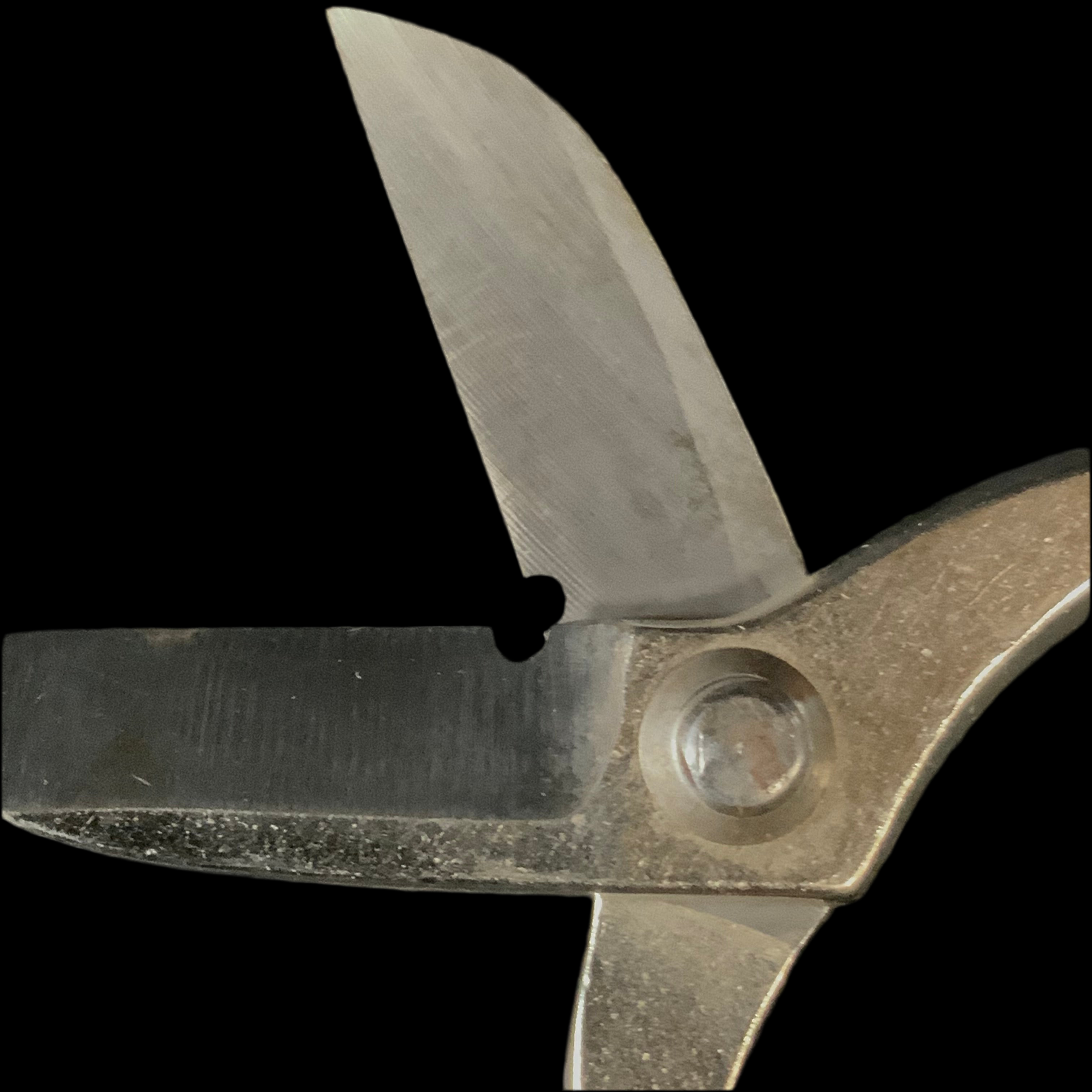 Old stock Minamoto kaneshige Flower shears “Ueki“ 掘り出し物 源金重 植木鋏 170mm 針金切り付き