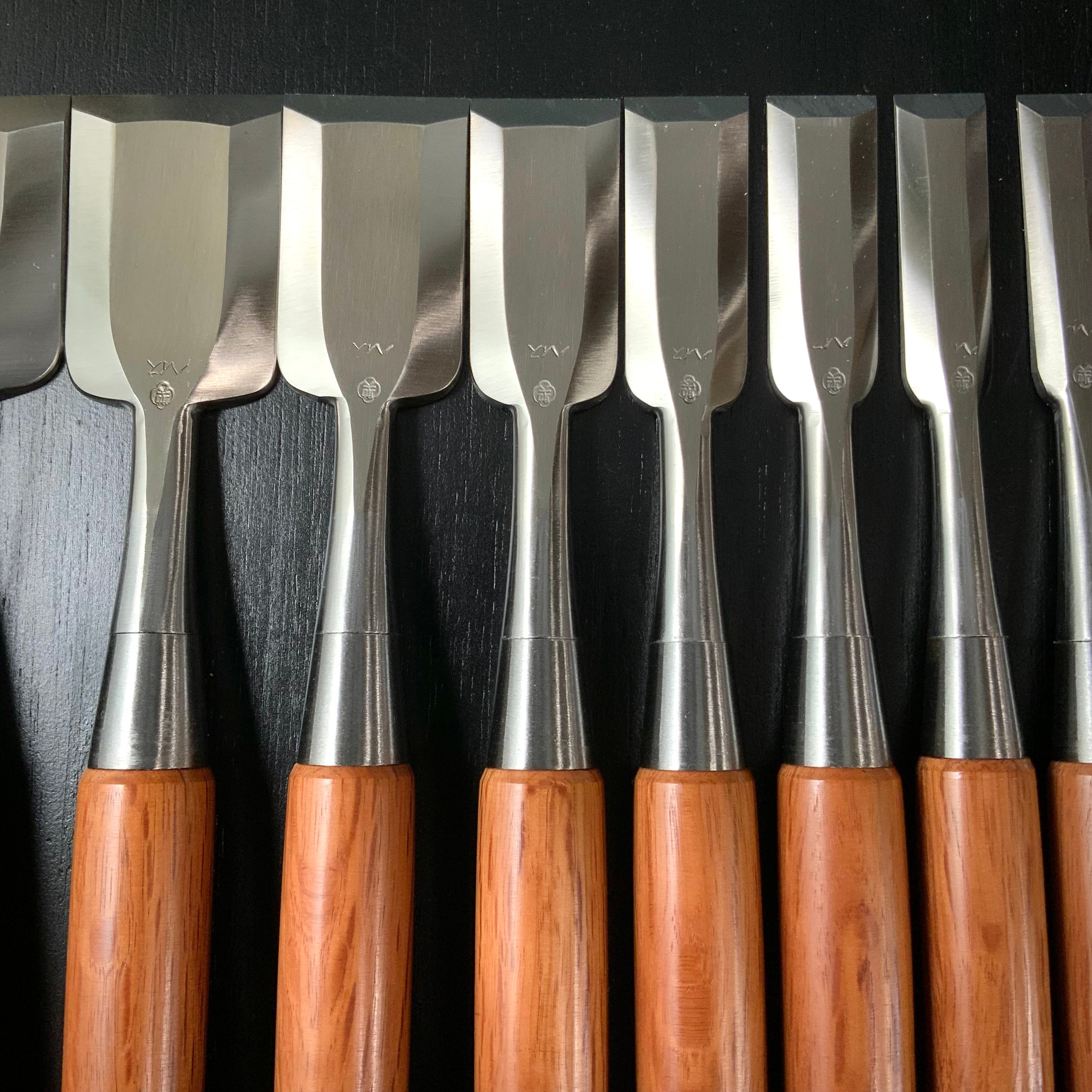 Sukeroku Sukemaru 3th High-Speed Steel Bench chisels set 三代助丸 碓氷淑郎 ハイス鋼追入鑿 助六 15本組 Oirenomi