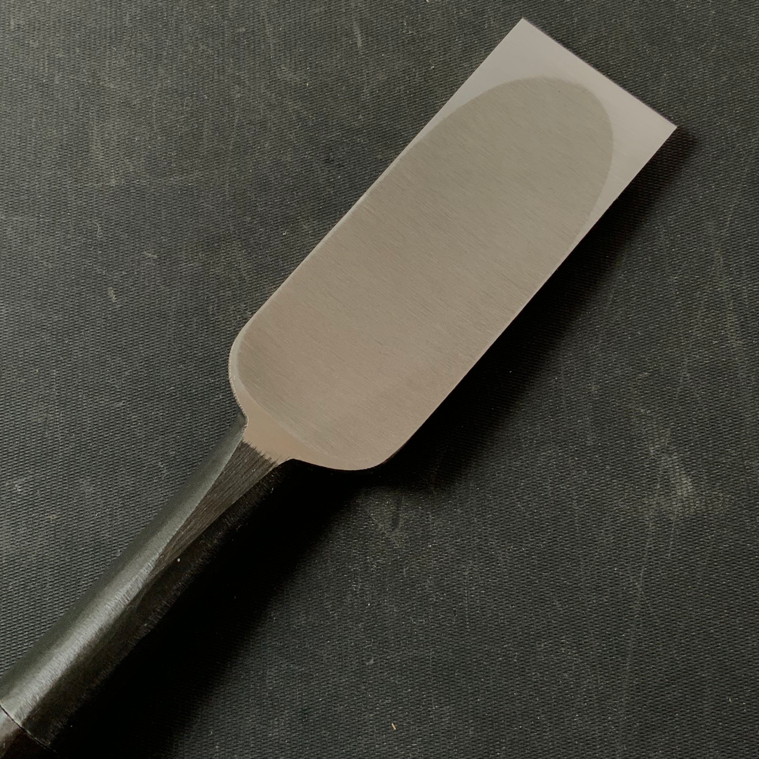 Tasai Timber chisels (Tatakinomi) with blue steel 田斎 黒仕上げ 叩鑿 36mm