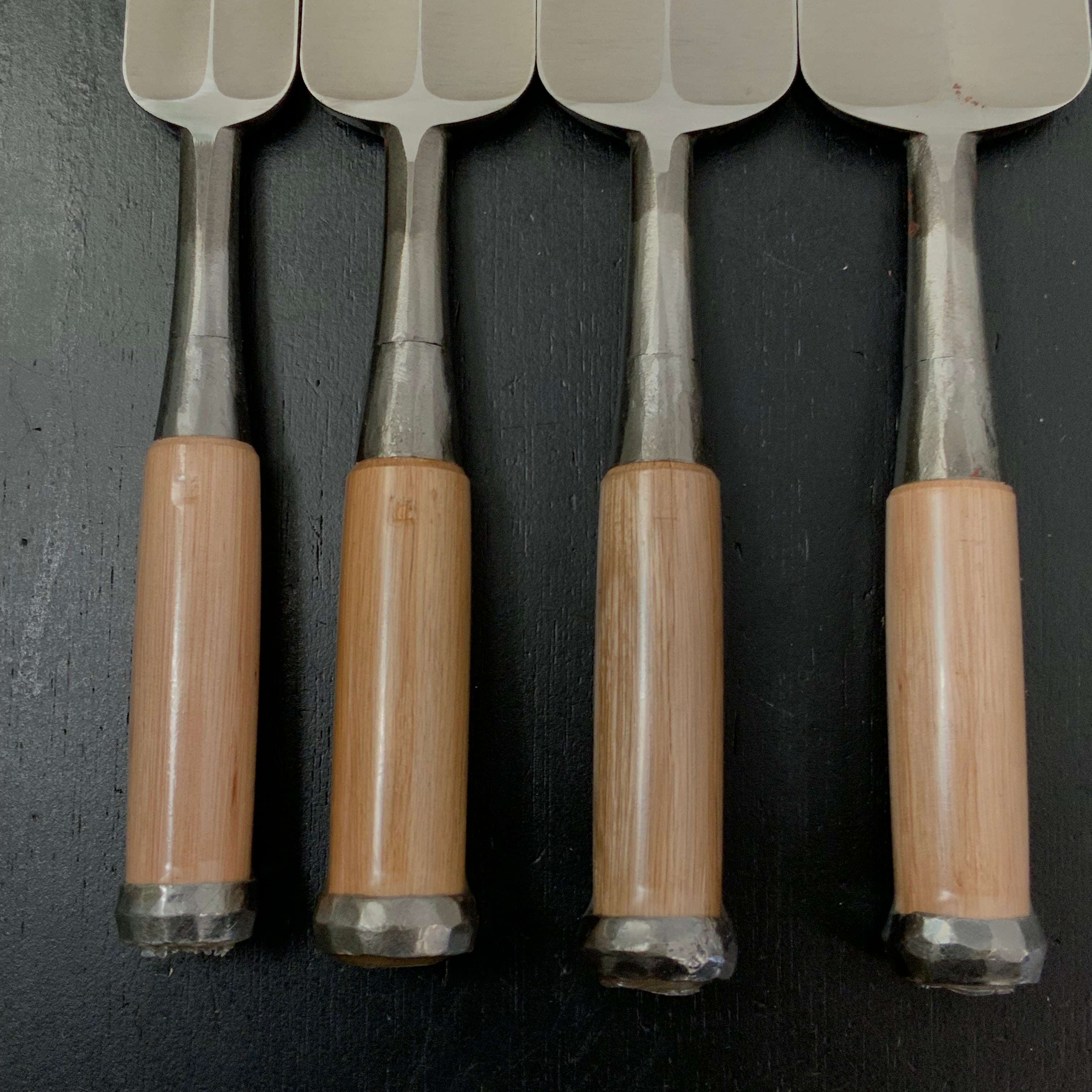 Old Stock Tasai Special Bench chisels (Oirenomi) with blue steel 掘出し物 田斎作 磨き仕上 追入鑿 二つ裏