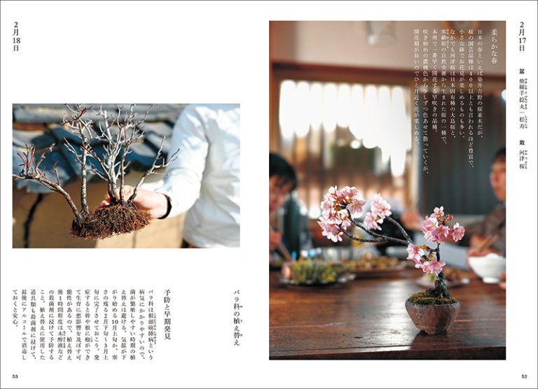 盆栽ごよみ365日 身近な草木を慈しむ四季折々の暮らし The 365 Days of Bonsai Calendar A seasonal lifestyle that celebrates familiar plants.
