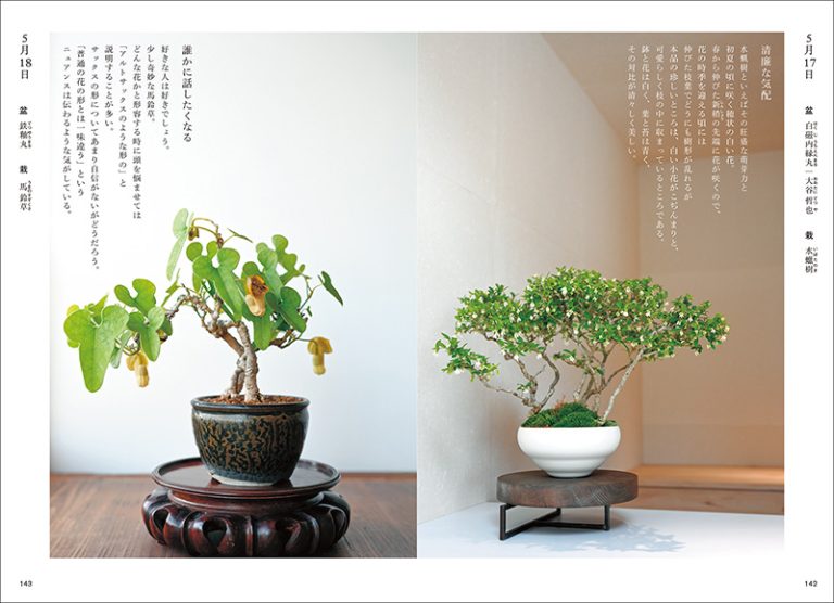 盆栽ごよみ365日 身近な草木を慈しむ四季折々の暮らし The 365 Days of Bonsai Calendar A seasonal lifestyle that celebrates familiar plants.