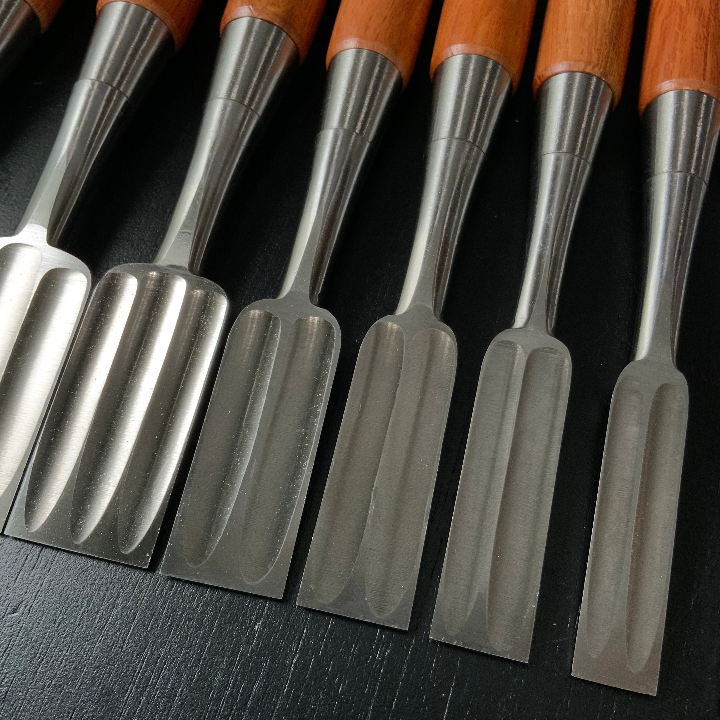 Sukemaru 4th High-Speed Steel Bench chisels set by Usui Yoshio 四代助丸 碓氷淑郎 ハイス鋼追入組鑿 三つ裏 15本組 Oirenomi