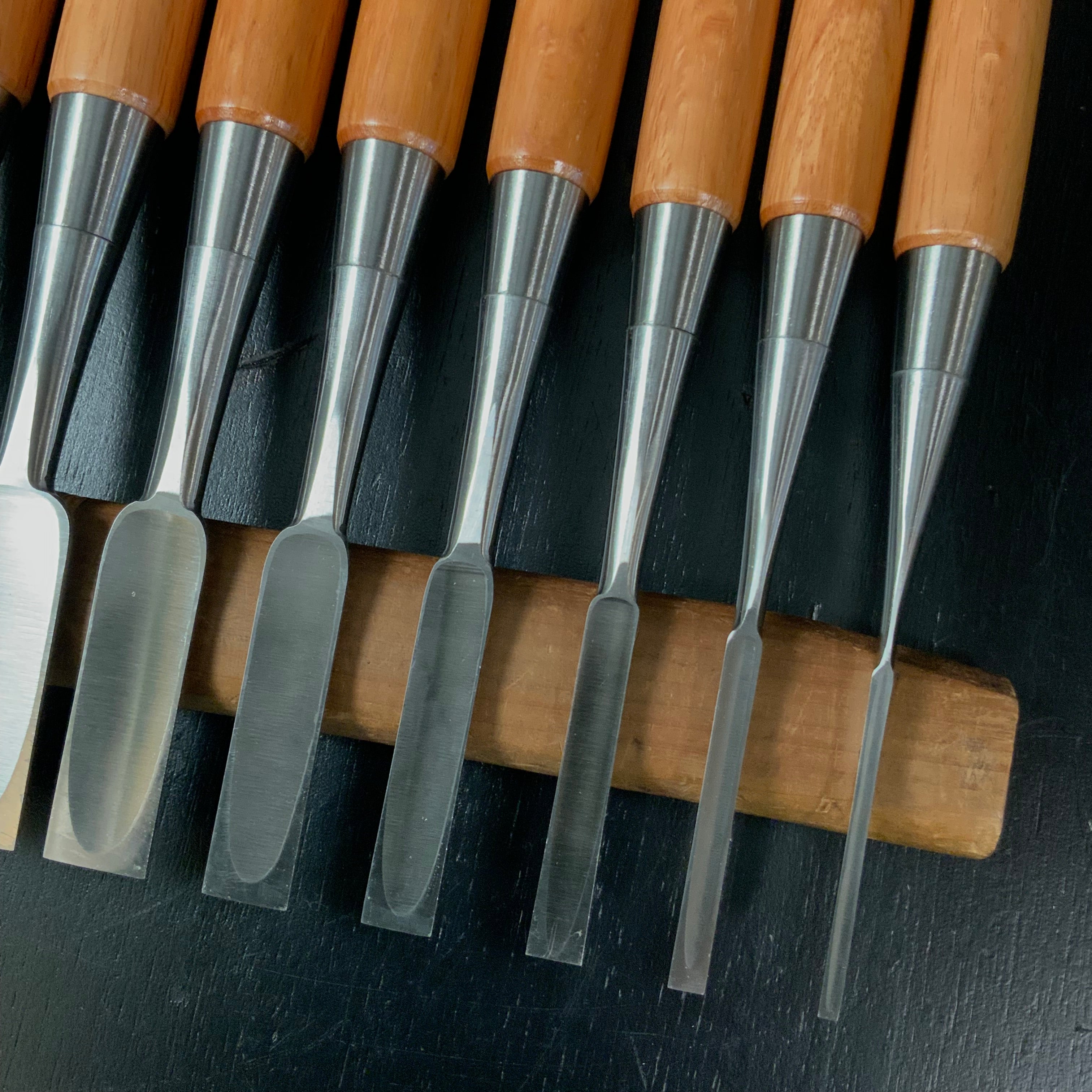 Sukemaru 4th High-Speed Steel Bench chisels 10pc set Ichimonji Type 四代助丸 碓氷淑郎 ハイス鋼追入組鑿 一文字 Oirenomi