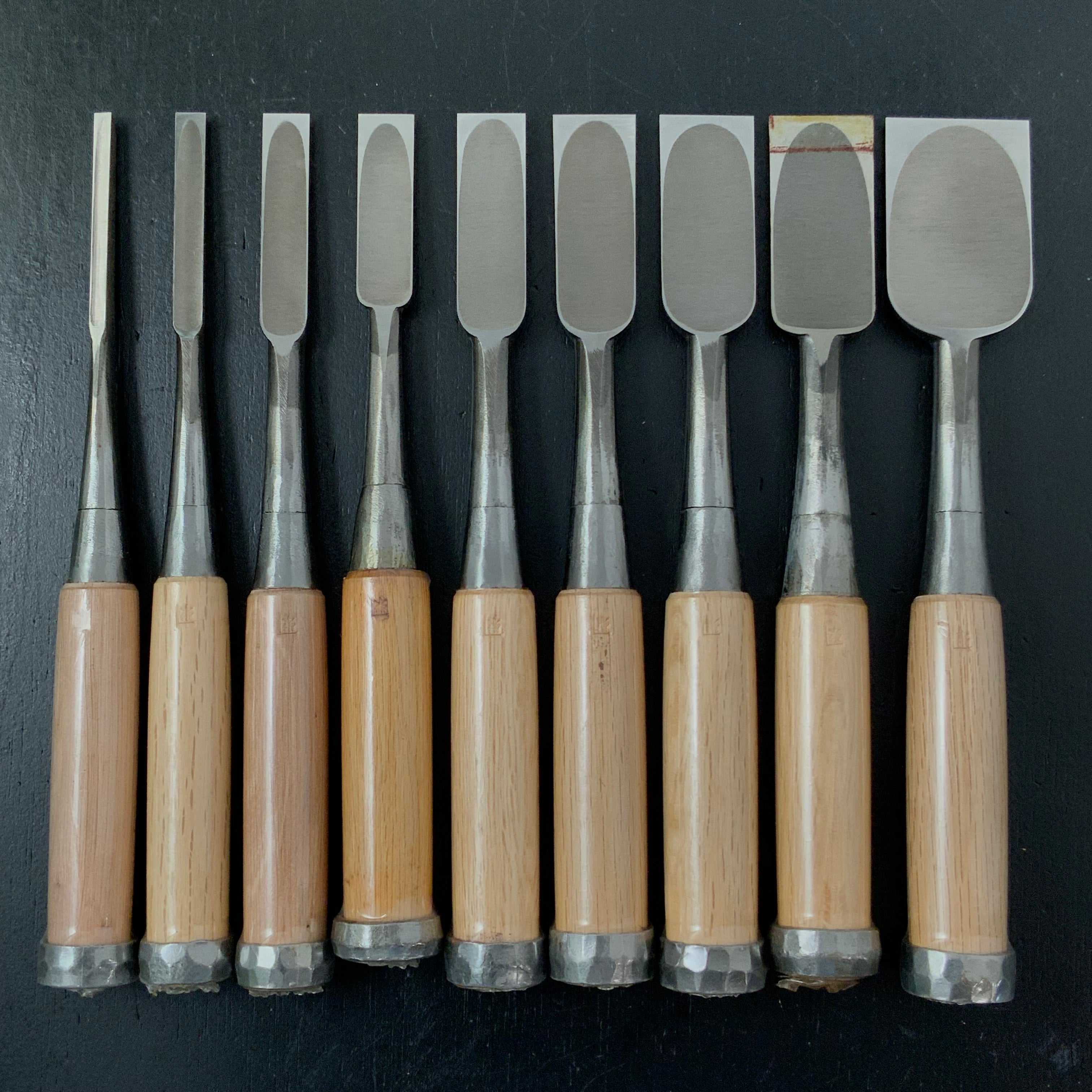 Old Stock Tasai Special Bench chisels (Oirenomi) with blue steel 掘出し物 田斎作 磨き仕上 追入鑿