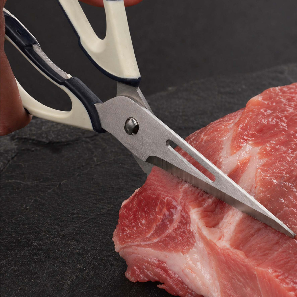 Gokuso Disassemblable All-Purpose Scissors 極宗 分解できる万能ハサミ