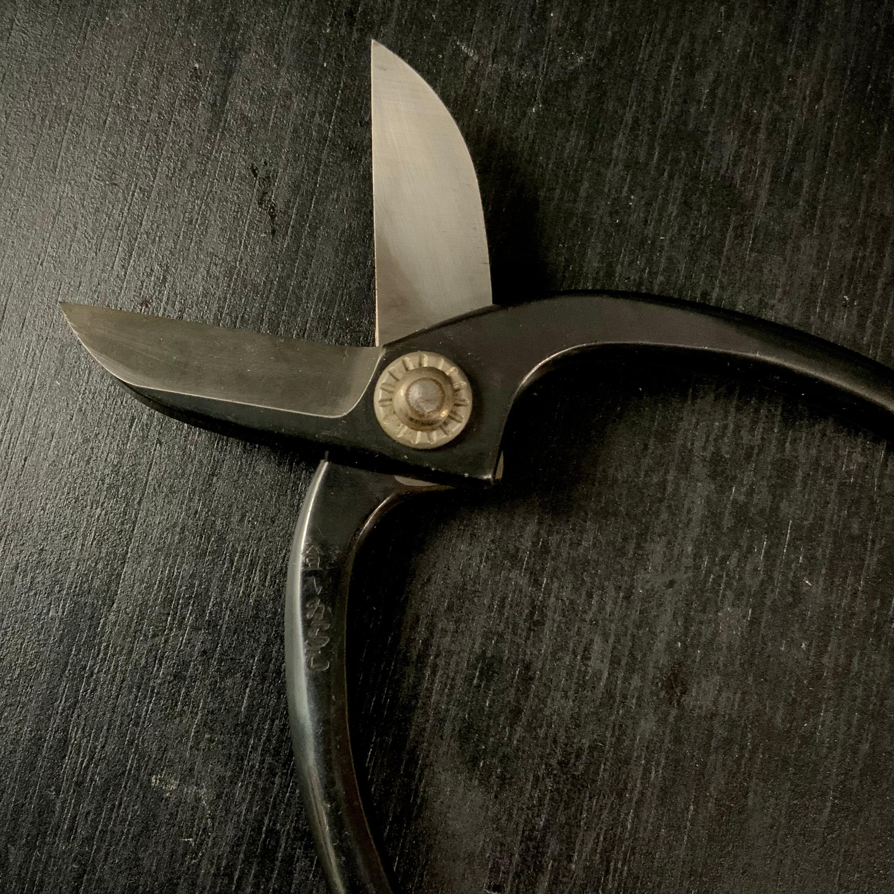 Old stock Genzo Flower shears “Ikenobou“ 掘り出し物 源造 池坊鋏 150mm