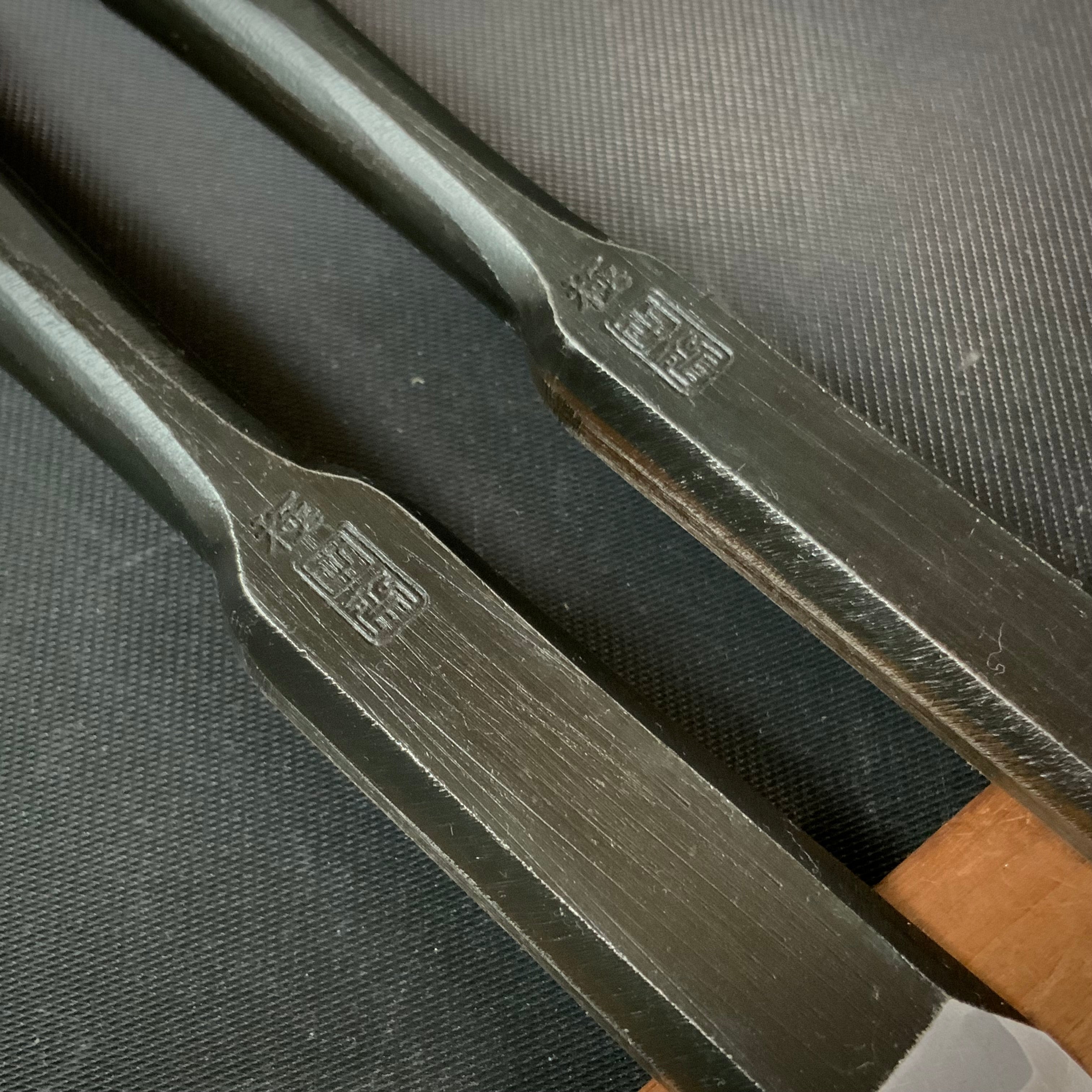 Tasai Bench chisels (Tokusun Oirenomi) with blue steel 田斎作 黒仕上 特寸追入鑿