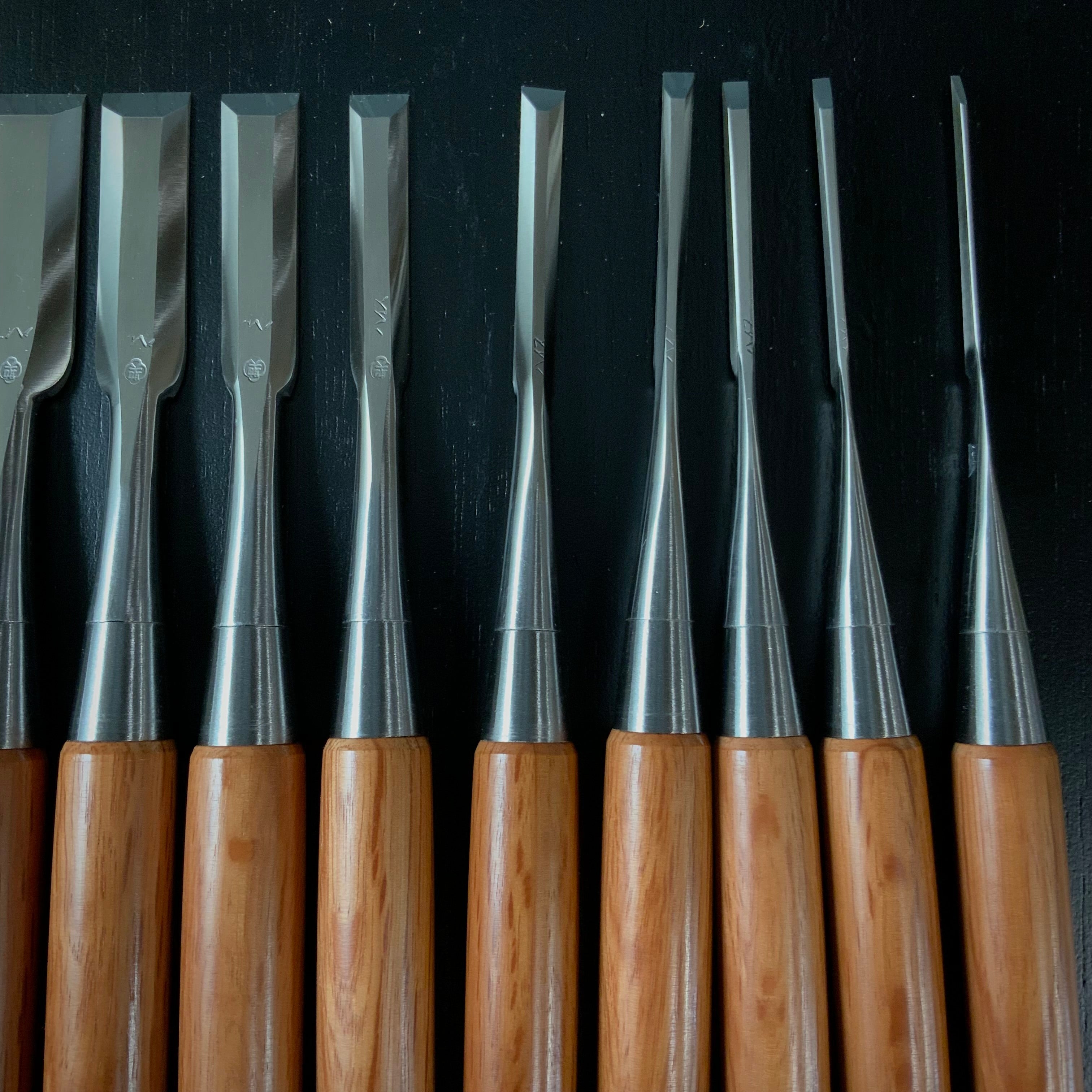 Sukeroku Sukemaru 3th High-Speed Steel Bench chisels set 三代助丸 碓氷淑郎 ハイス鋼追入鑿 助六 15本組 Oirenomi