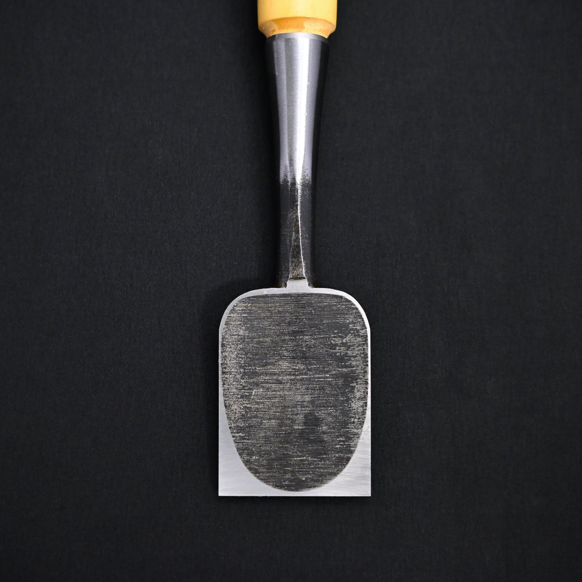 掘出し物 錦清水 木成追入 グミ柄 Rare Stock Nishiki Kiyomi Bench Chisels Gumi Handles 42mm