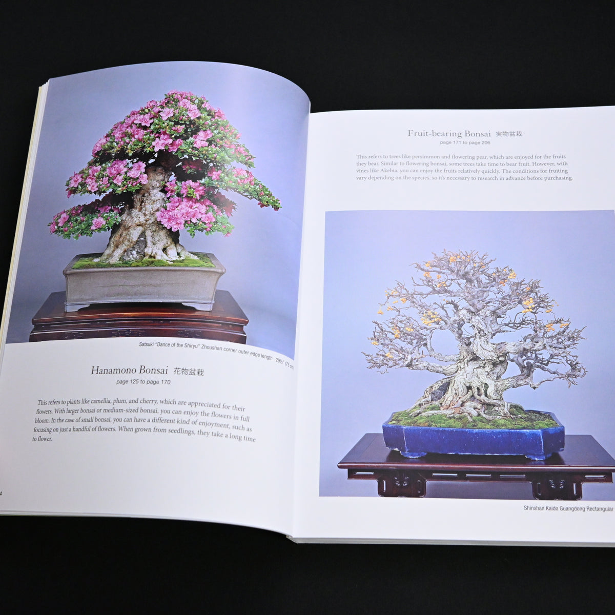 Bonsai Master Class 『小林國雄のイチから教える盆栽』(西東社刊)英訳版