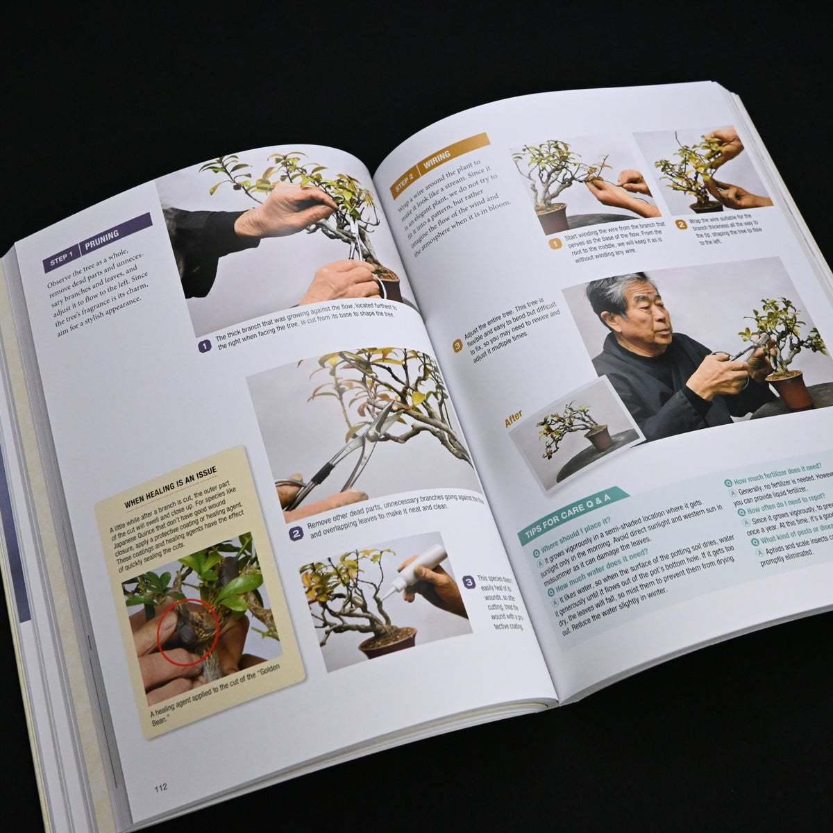Bonsai Master Class 『小林國雄のイチから教える盆栽』(西東社刊)英訳版