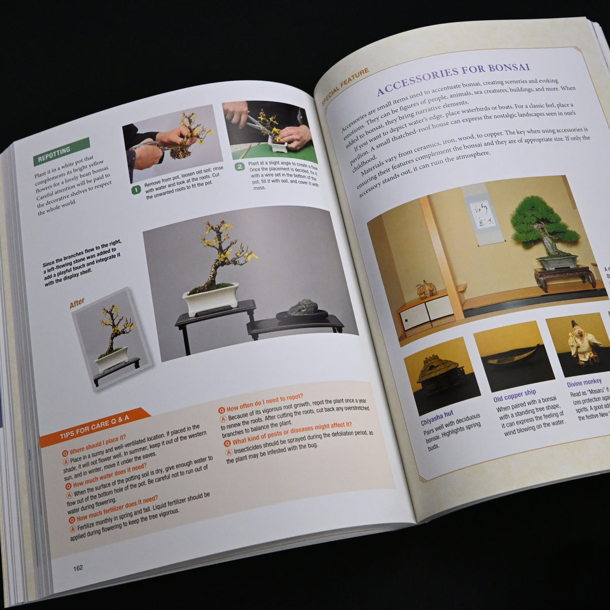 Bonsai Master Class 『小林國雄のイチから教える盆栽』(西東社刊)英訳版