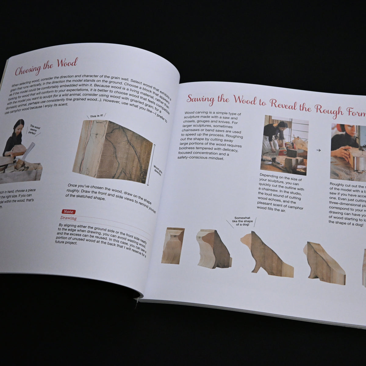 A Beginner's Guide to Animal Woodcarving 『はじめての木彫りどうぶつ手習い帖』(雷鳥社刊)英訳版