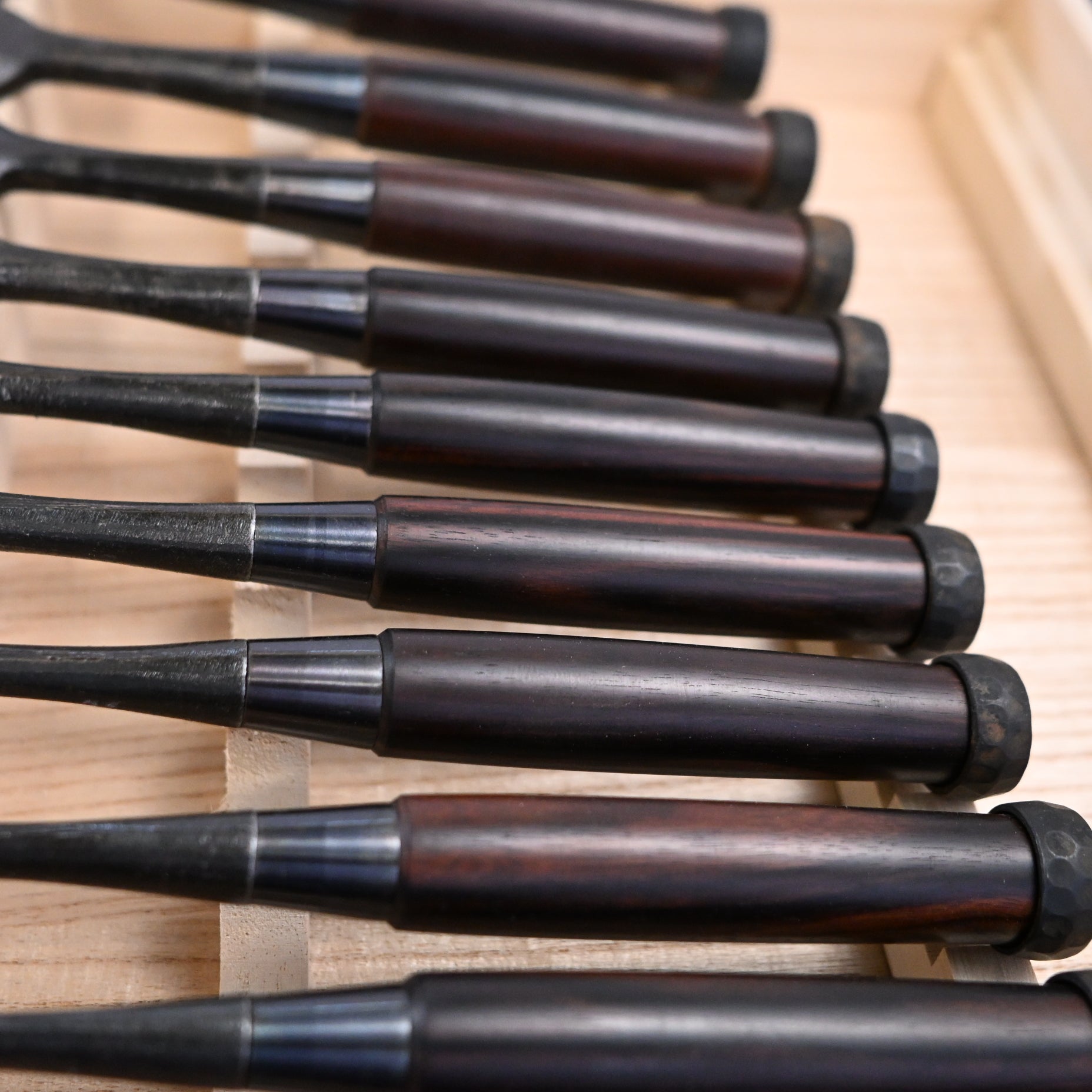 Kanetake Bench chisels set with Ebony Handle by Takahashi Norikazu 高橋典三作 カネ武 追入組鑿 黒檀柄
