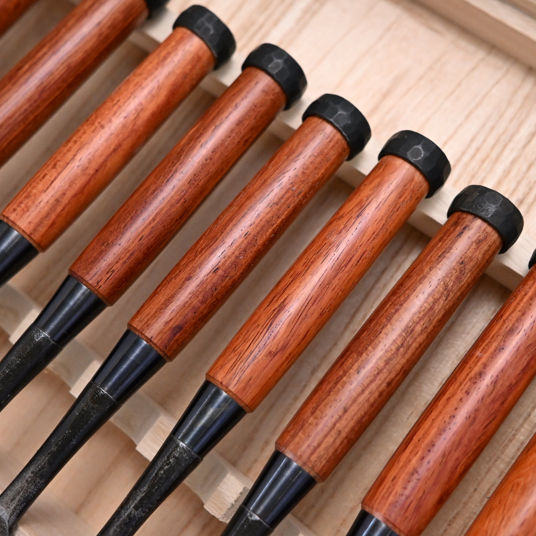 Kanetake Bench chisels set with rosewood Handle by Takahashi Norikazu 高橋典三作 カネ武 追入組鑿 紫檀柄