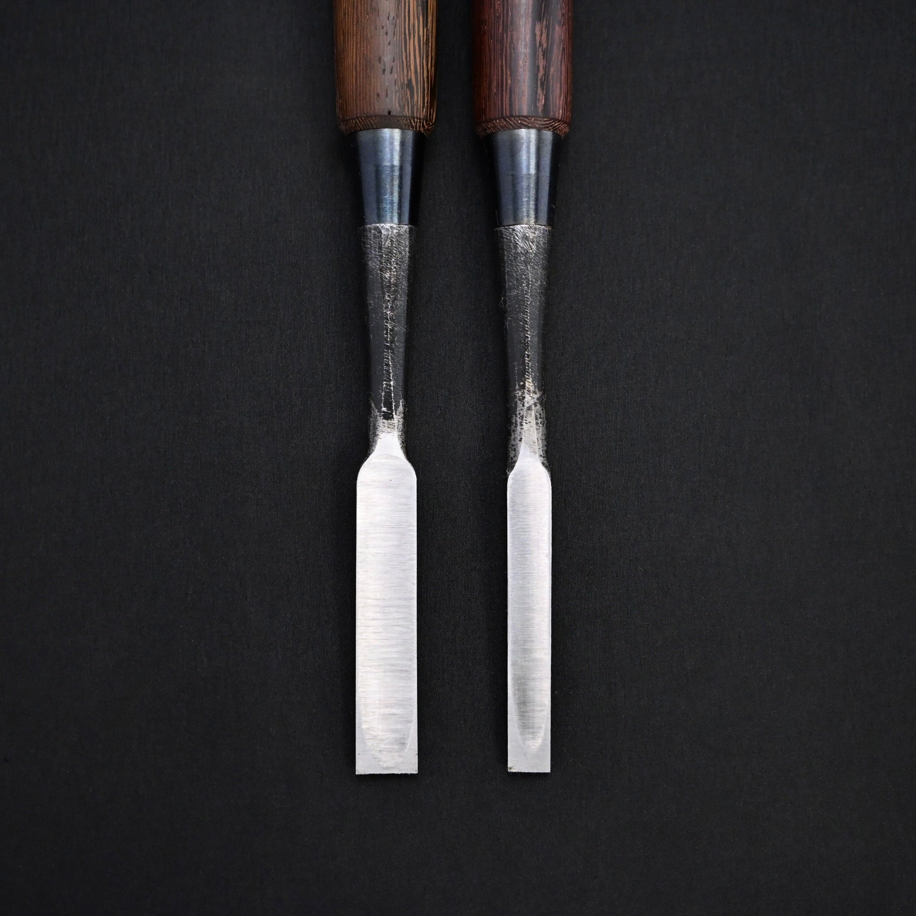カネ武 鎬 追入鑿 タガヤサン柄 高橋典三作 Kanetake Dovetail chisels Bombay Blackwood Handles by Takahashi Norikazu