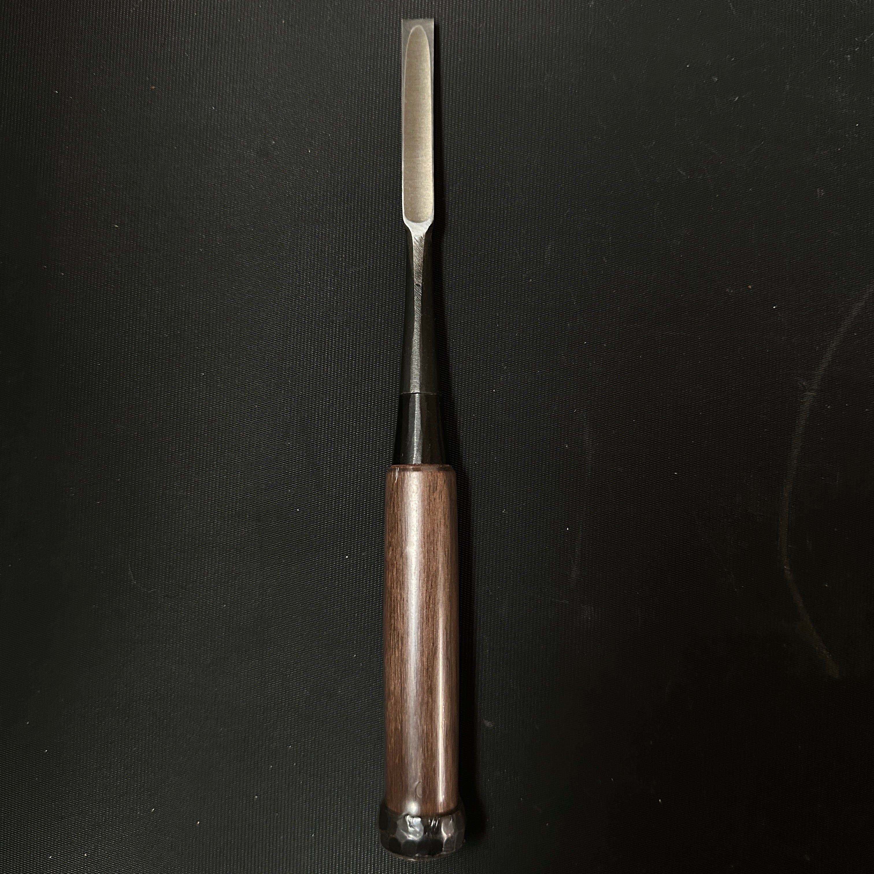 Tasai Bench chisels (Shinogi Oirenomi) with blue steel 田斎作 黒仕上 鎬追入鑿