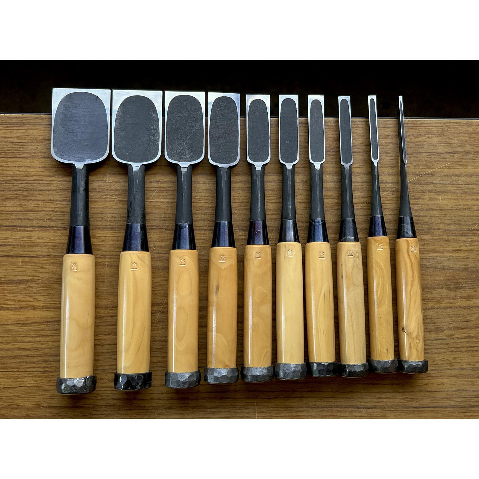 Old Stock Hidari Ichihiro Bench chisels set by Ichihiro 3rd Generations 掘出し物  左市弘10本組 追入組鑿 黄楊柄 Oirenomi