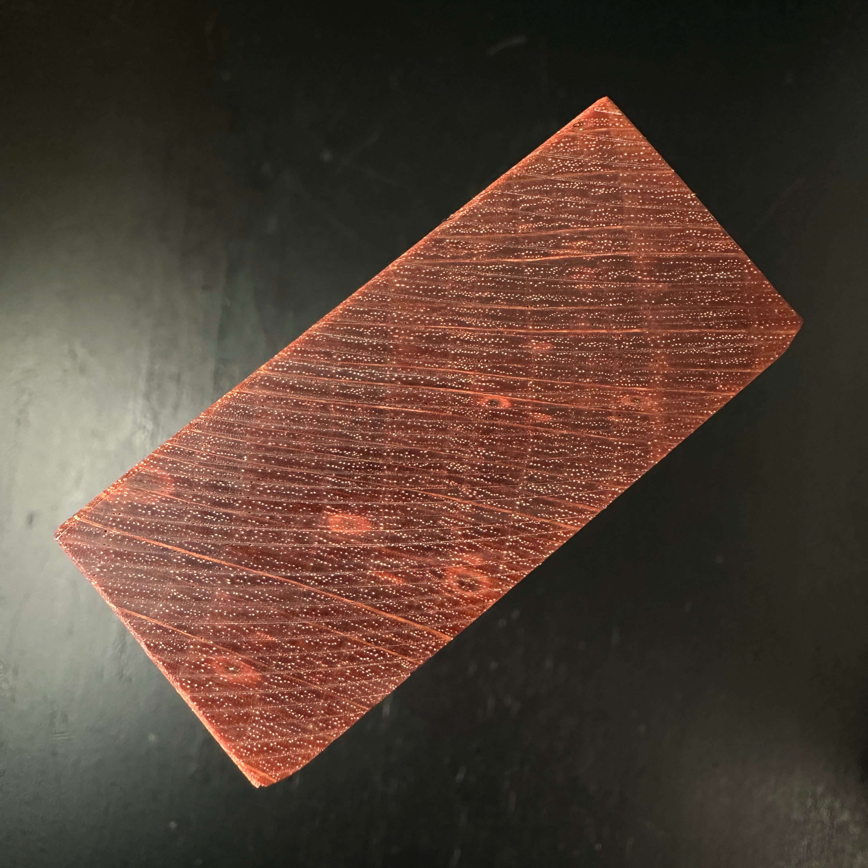 Tanjosan Tsunesaburo Smoothing Plane (Kanna) 常三郎作 丹生山 仕上げ鉋 超特殊鋼 赤樫台 48mm