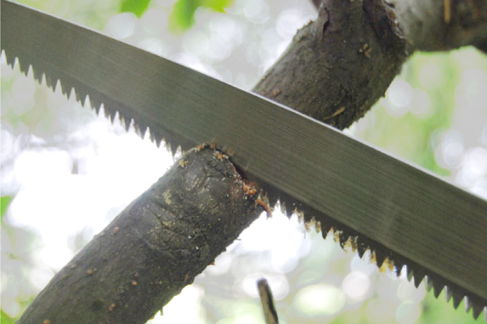 玉鳥産業 レザーソー TS107 植木職人専用鋸 270mm Gyokucho Razorsaw Japanese Plant Hunter270