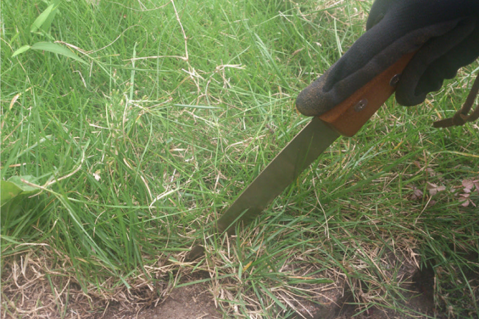 玉鳥産業 レザーソー TS163 根切り鋸 Gyokucho Razorsaw Japanese Plant Hunter Nekiri