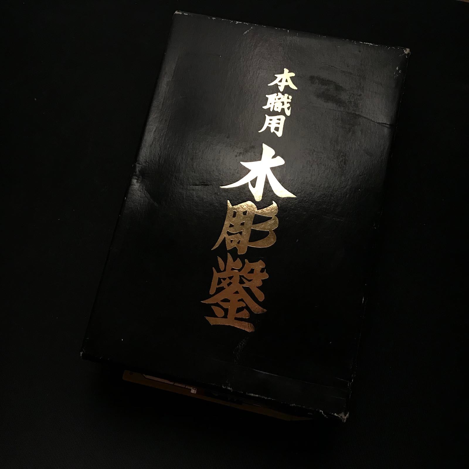 Old stock Carving chisels set with Blue steel 掘出し物 彫刻組鑿 5本