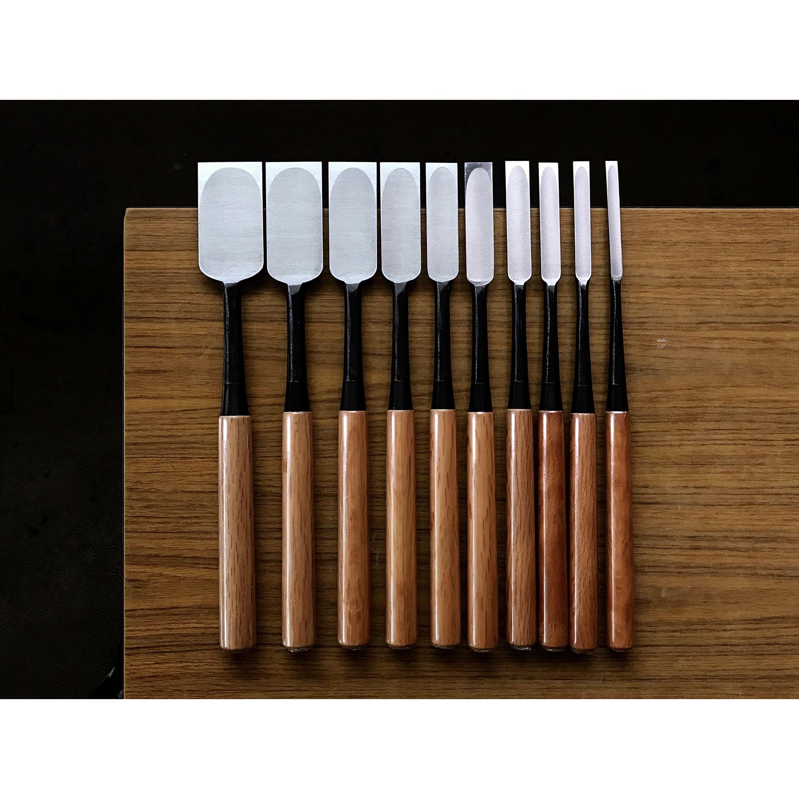 Tasai Paring chisels (Usunomi) with blue steel 田斎作 薄鑿 9~48mm