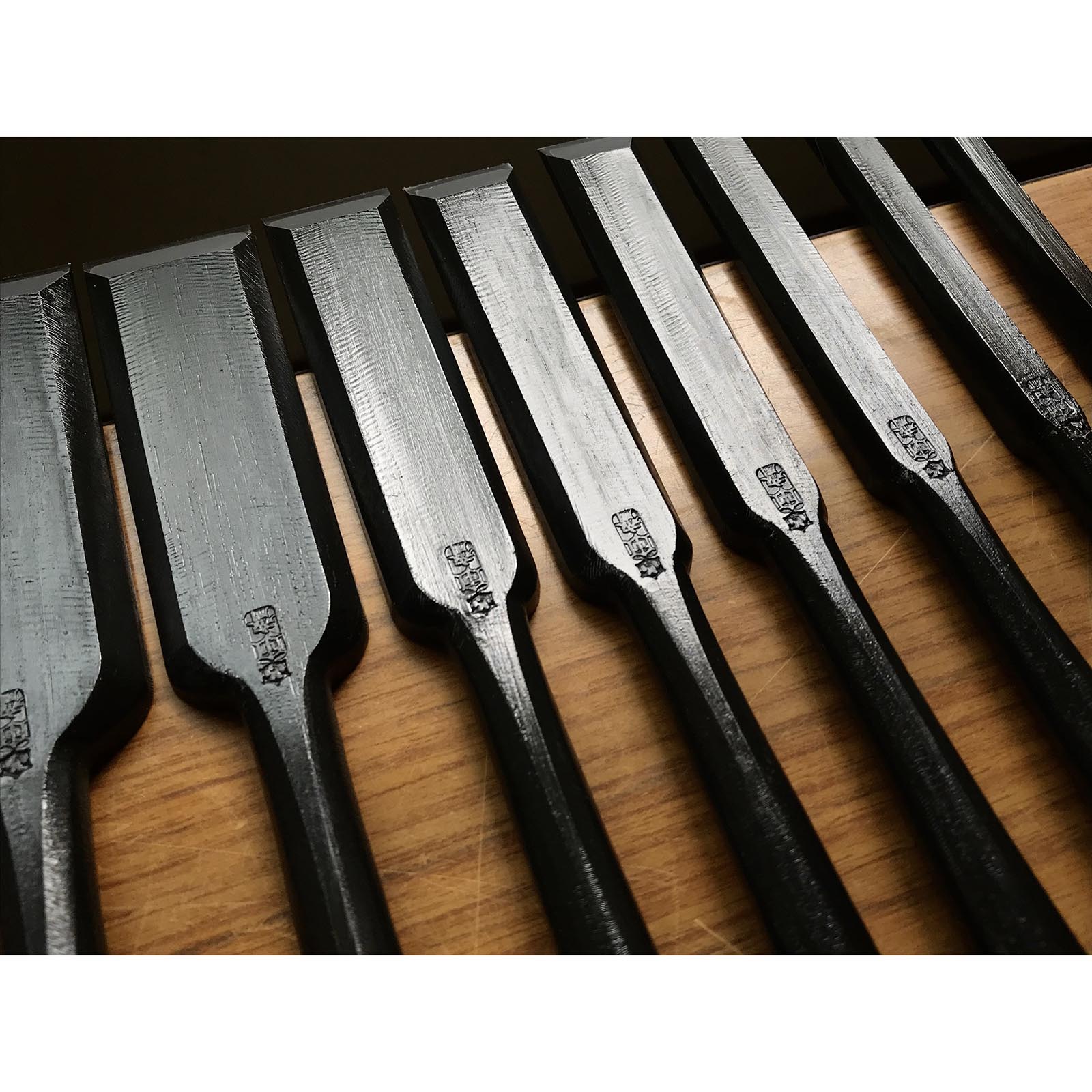 Tasai Paring chisels (Usunomi) with blue steel 田斎作 薄鑿 9~48mm