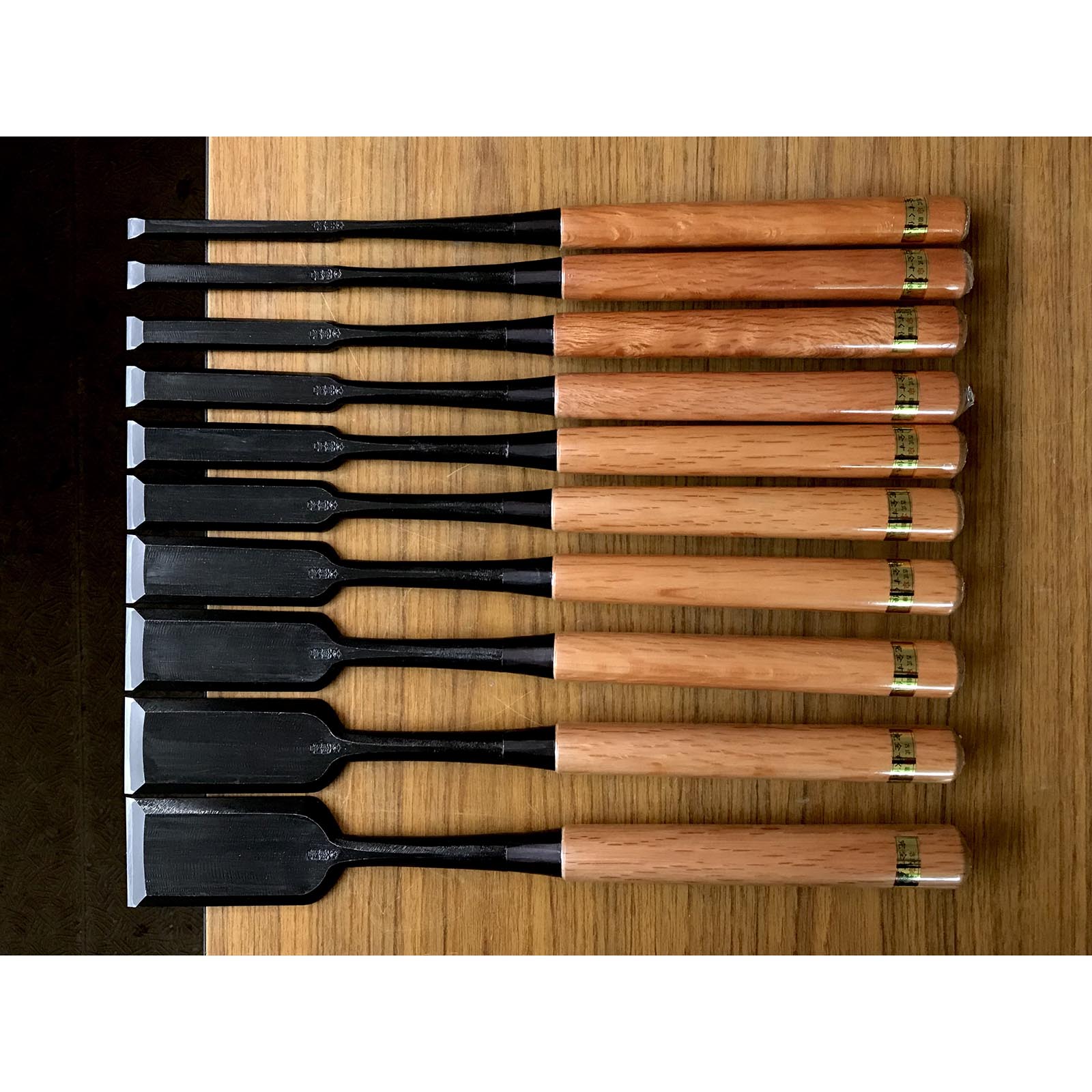 Tasai Paring chisels (Usunomi) with blue steel 田斎作 薄鑿 9~48mm