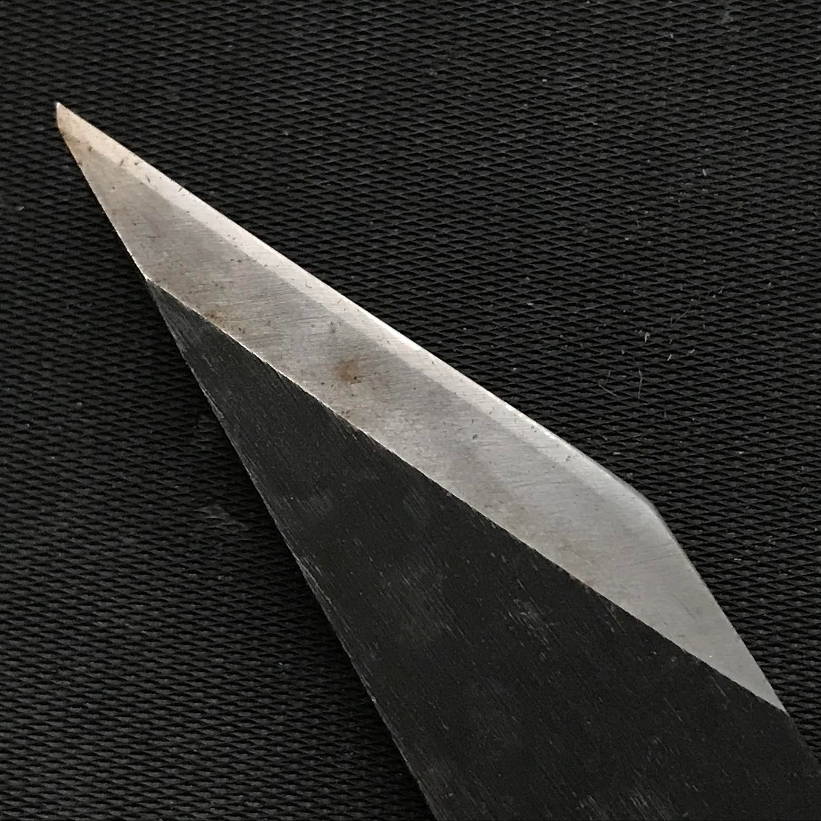 旧蔵 坂光 初代坂光作 白柿 5分&6分右