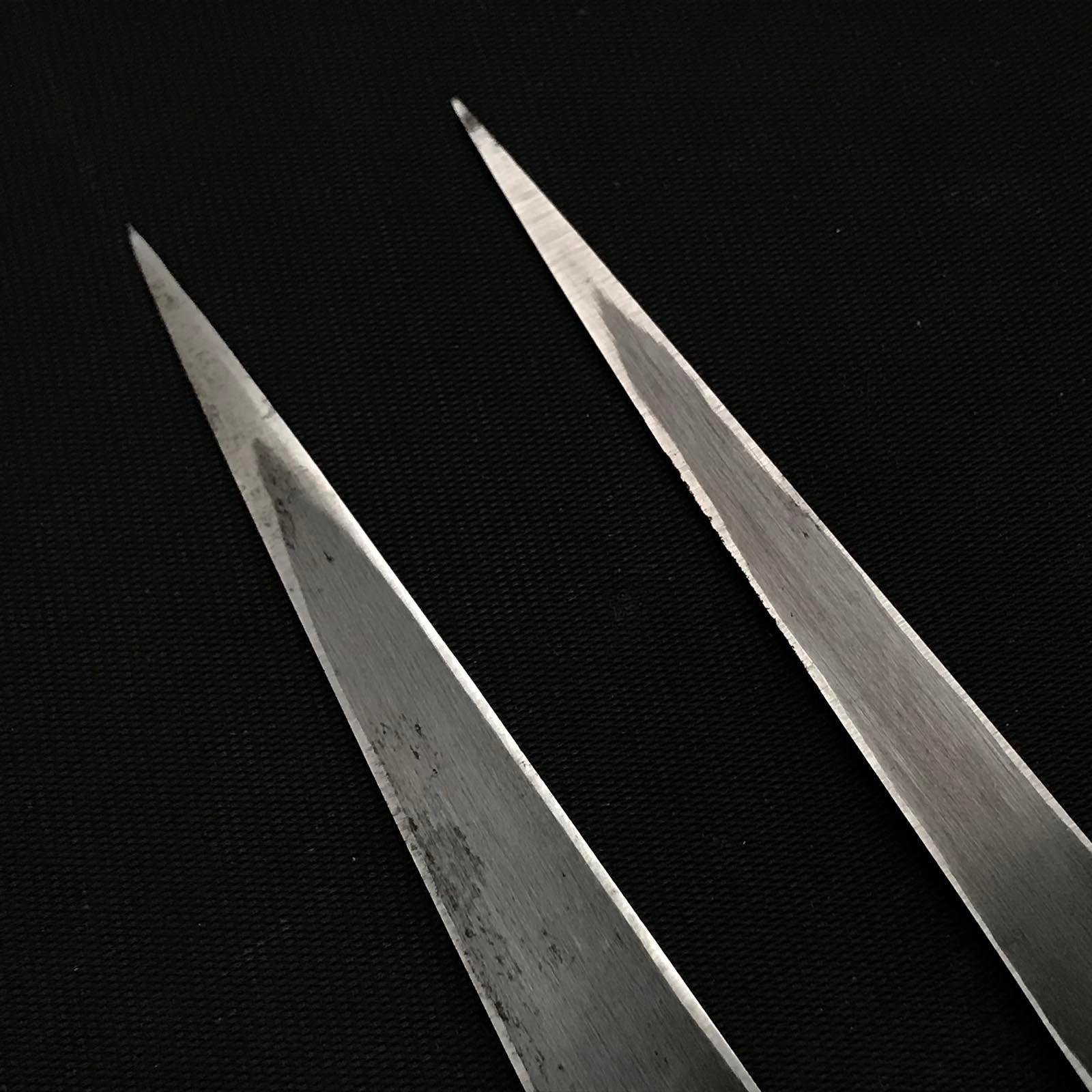 旧蔵 坂光 初代坂光作 白柿 5分&6分右