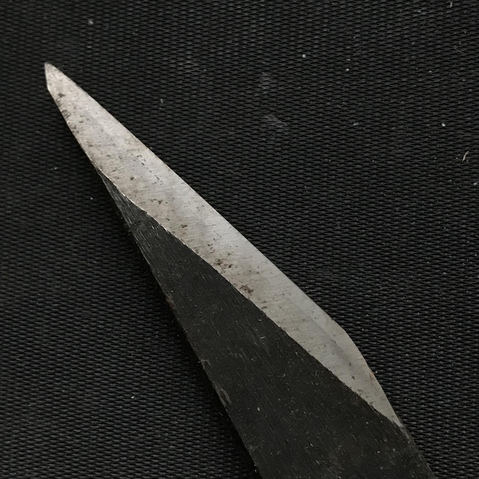 旧蔵 坂光 初代坂光作 白柿 5分&6分右