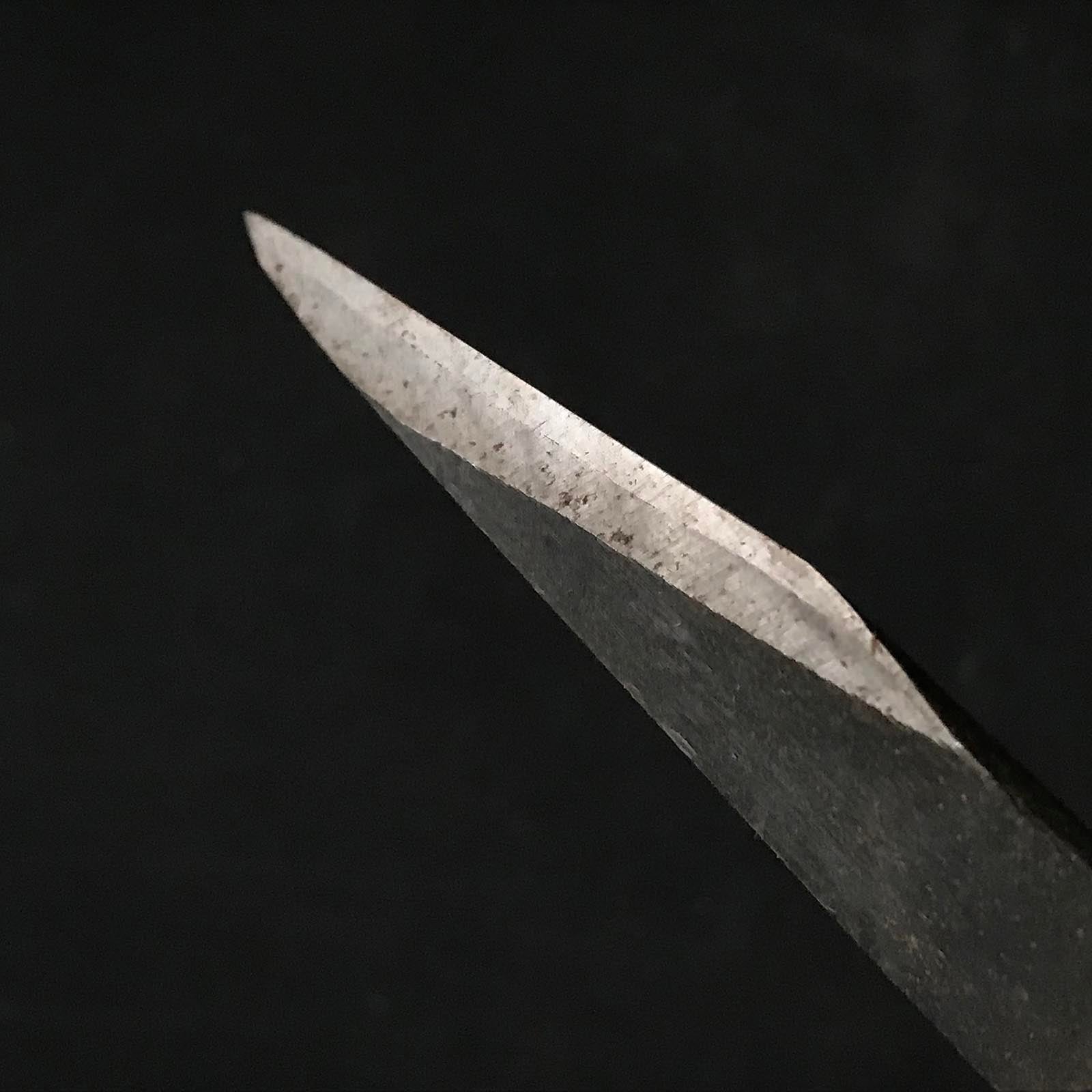 旧蔵 坂光 初代坂光作 白柿 5分&6分右