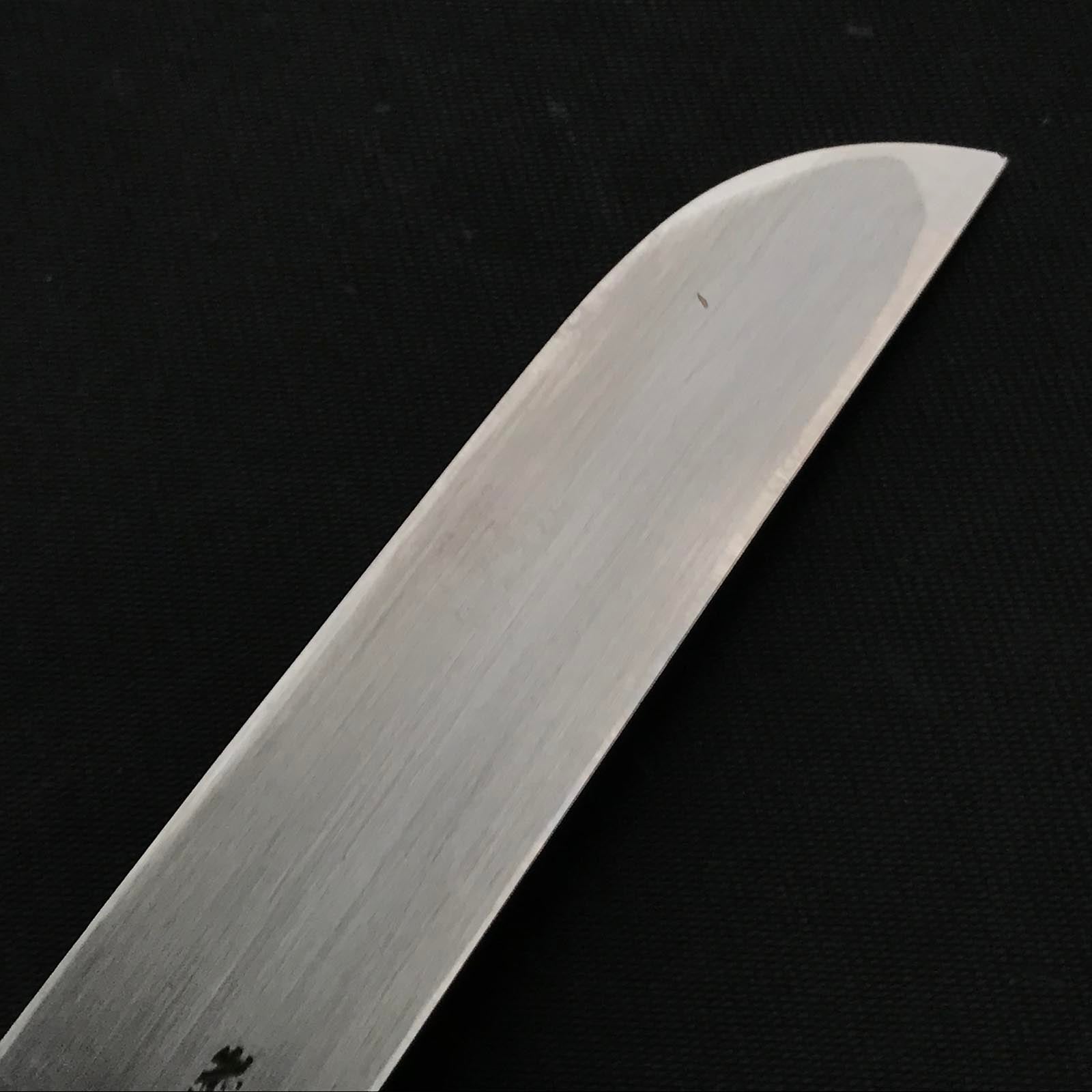 旧蔵 坂光 初代坂光作 白柿 5分&6分右