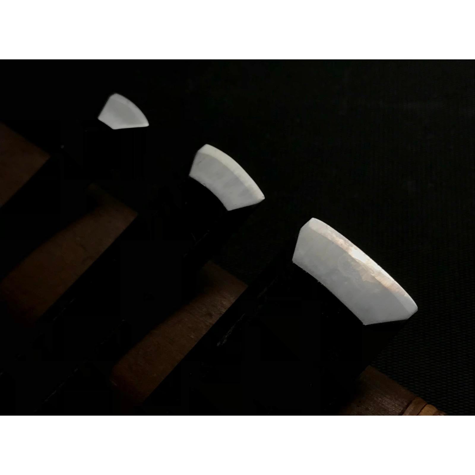 Mori Saya chisels set with White steel / 杜 清玄作 鞘造り鑿 白紙一号鋼