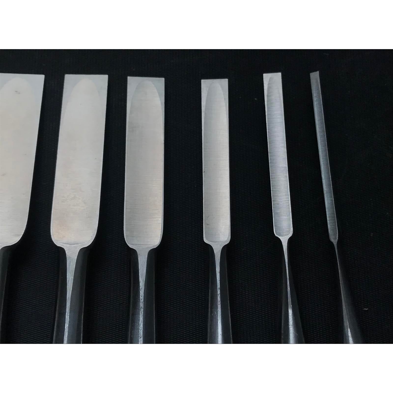 Old stock Wholesaler stamp Sukemaru 4th High-Speed Steel Bench chisels set 掘出し物 四代助丸 問屋銘 ハイス鋼追入組鑿 Oirenomi