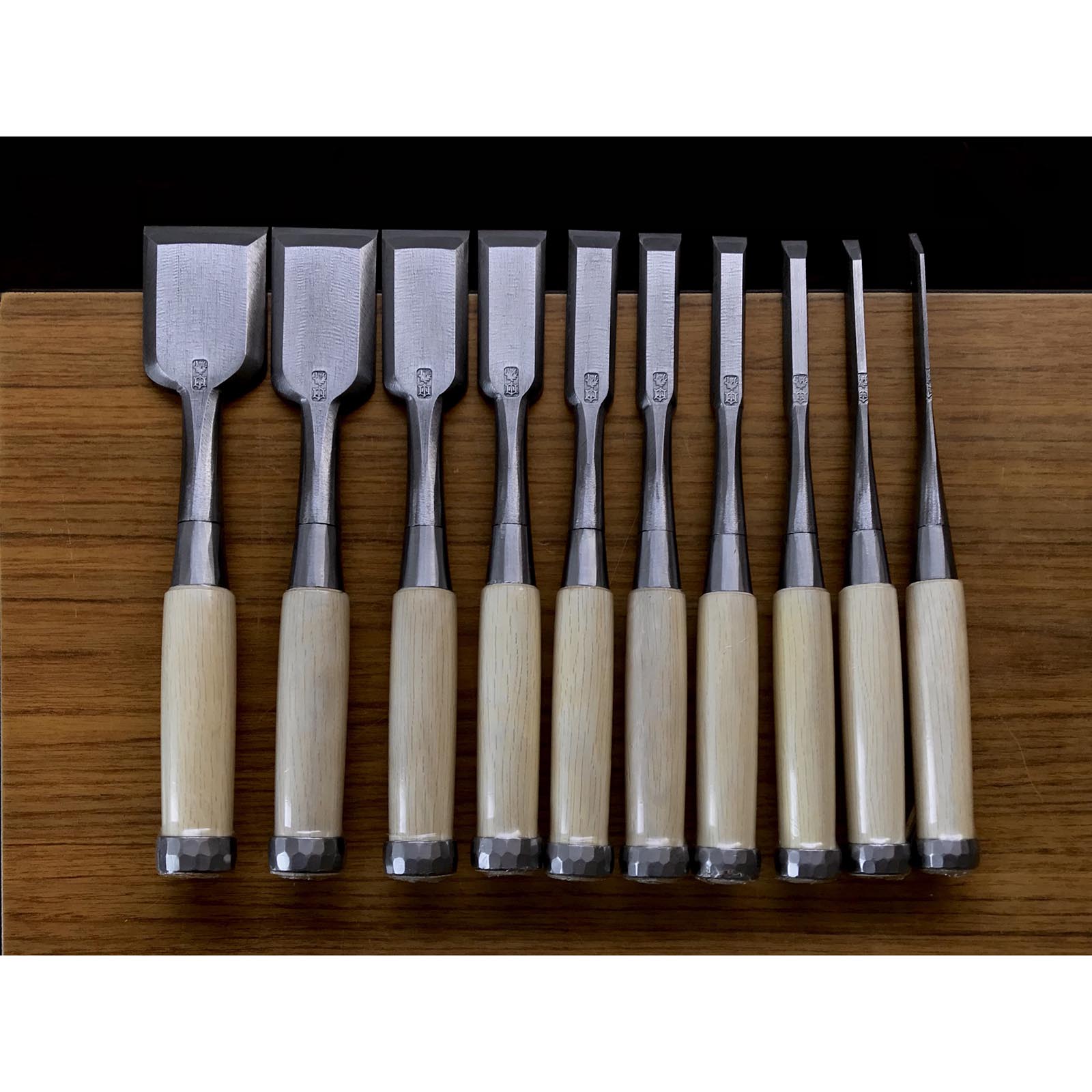 Tasai #2 Bench chisels set with blue steel Oirenomi 田斎作 磨き仕上 追入組鑿