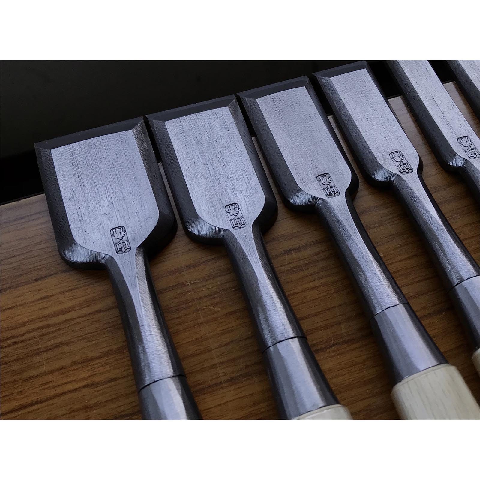Tasai #2 Bench chisels set with blue steel Oirenomi 田斎作 磨き仕上 追入組鑿