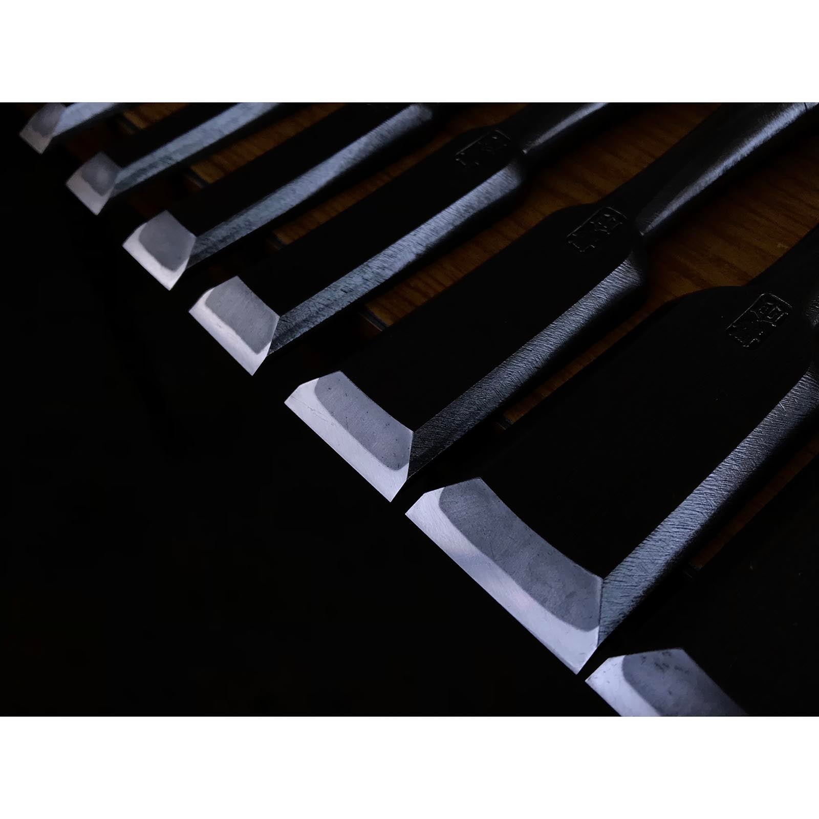 Tasai #2 Bench chisels set with blue steel Oirenomi 田斎作 磨き仕上 追入組鑿